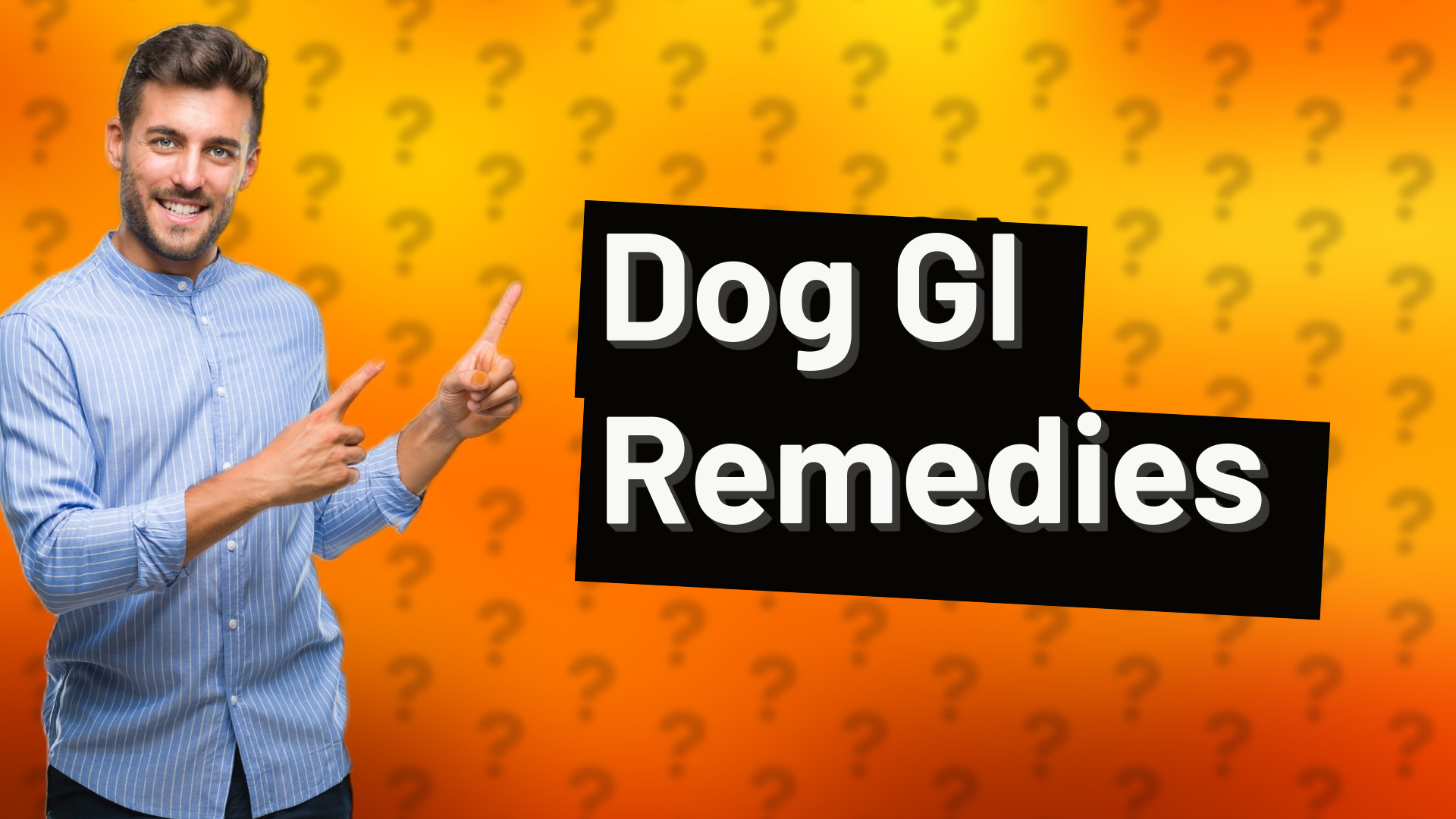 Dog GI Remedies