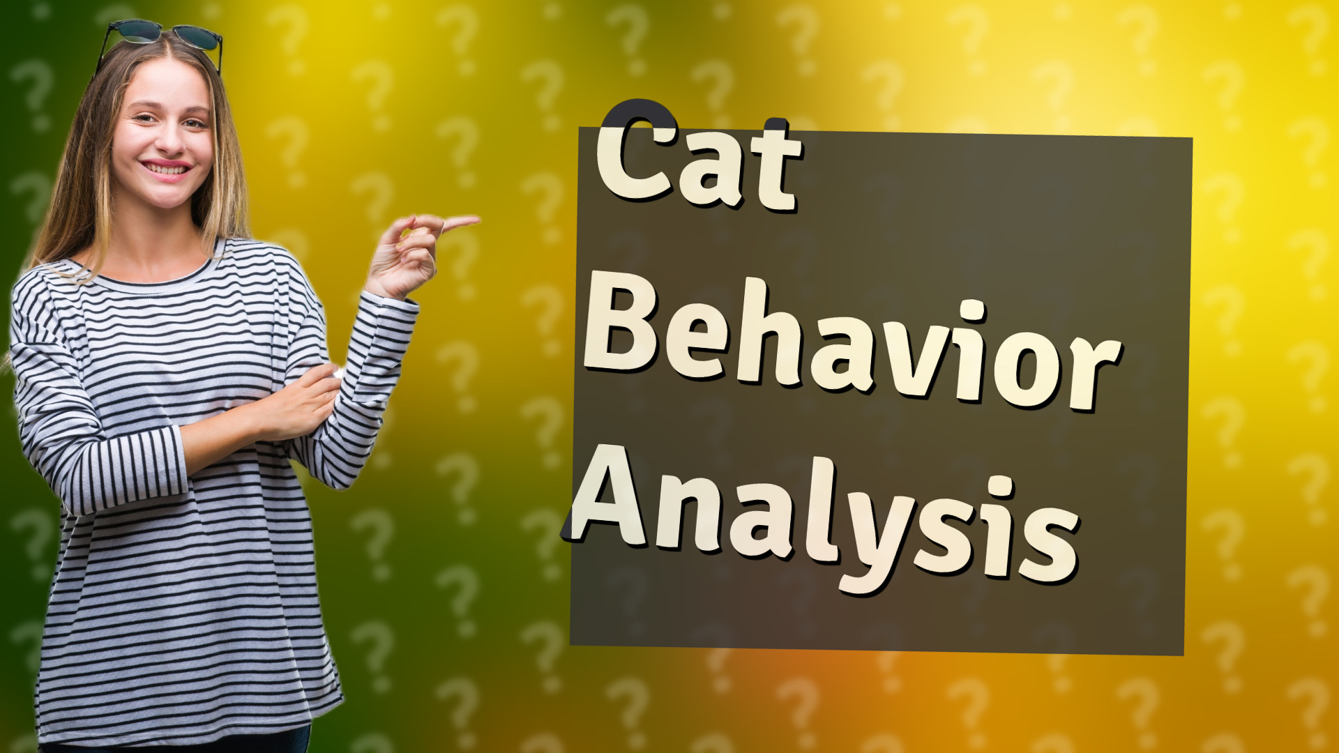 Cat Behavior Analysis
