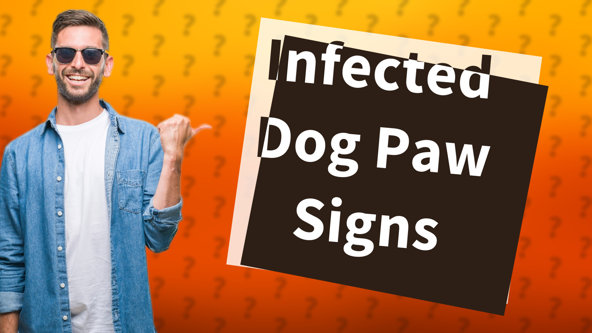 Infected Dog Paw Signs