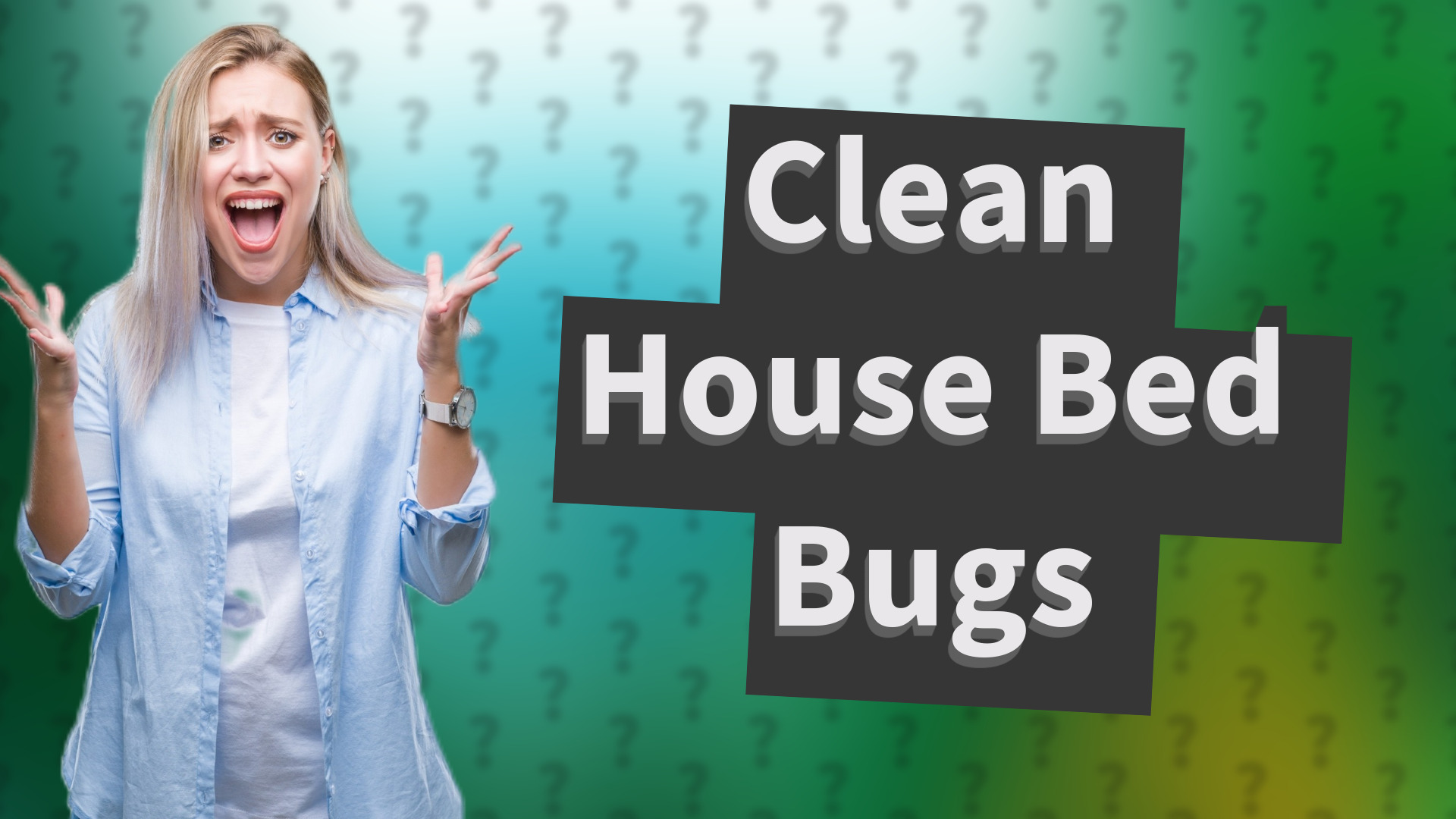 Clean House Bed Bugs