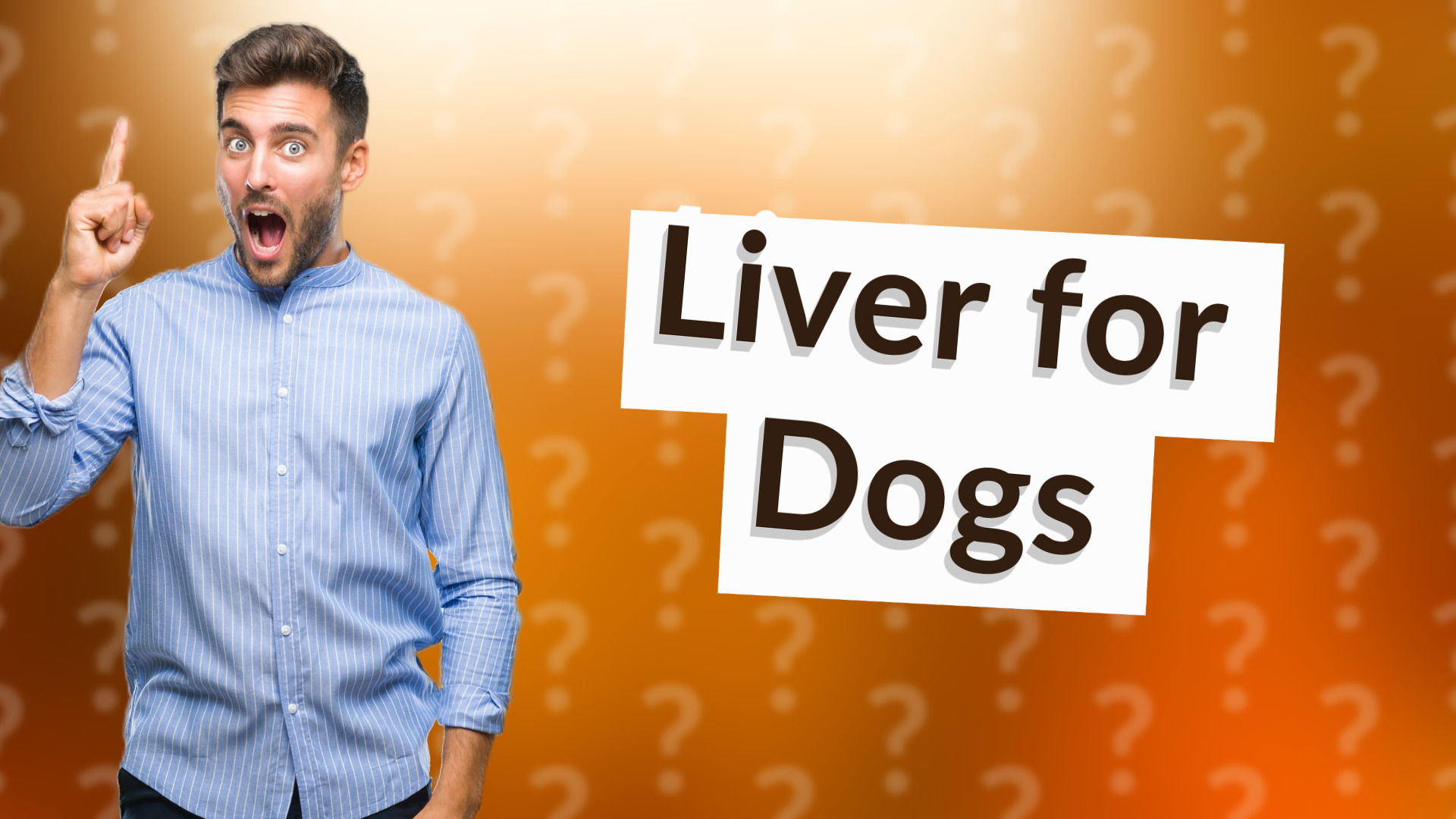 Liver for Dogs