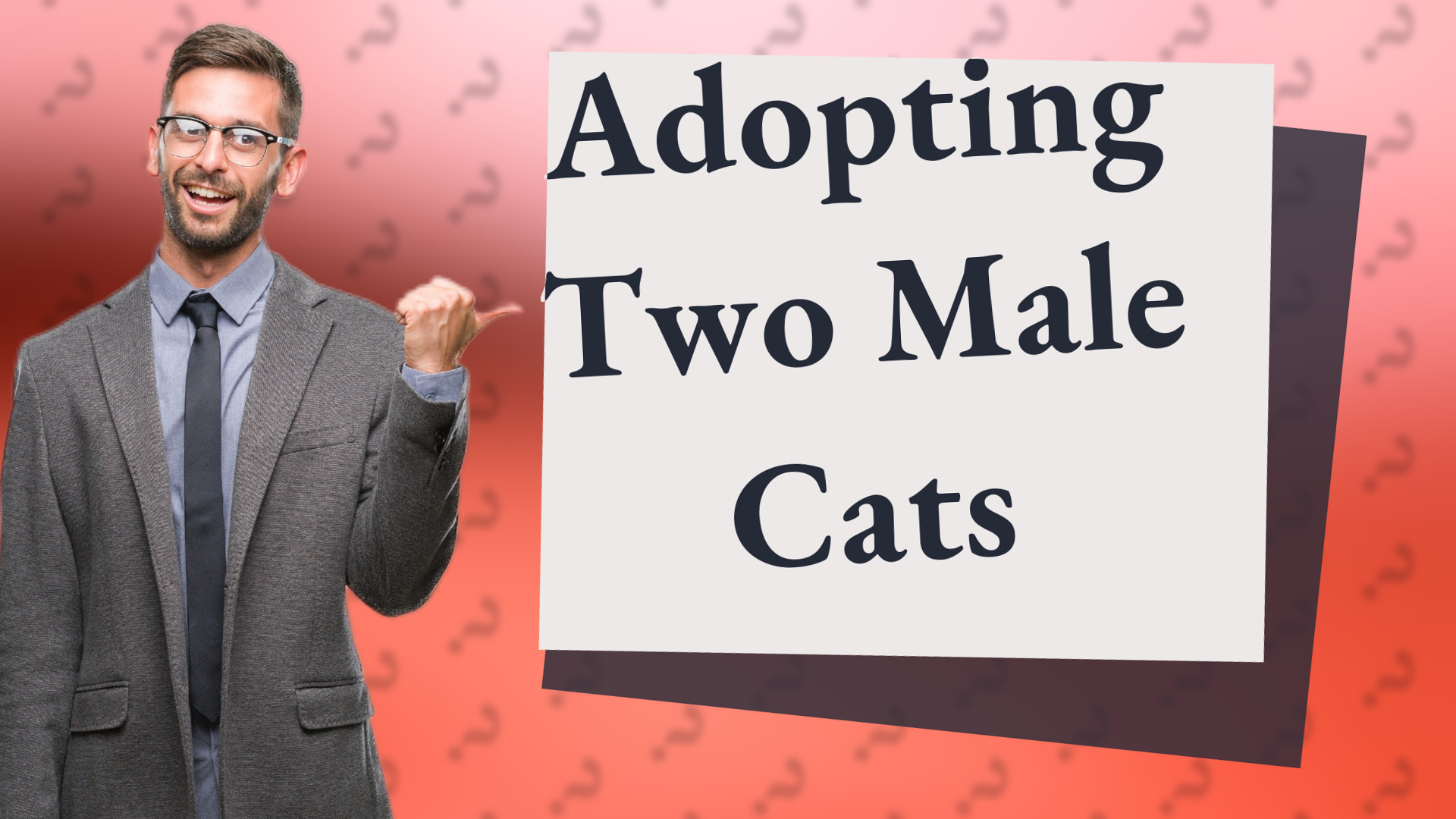 Adopting Two Male Cats