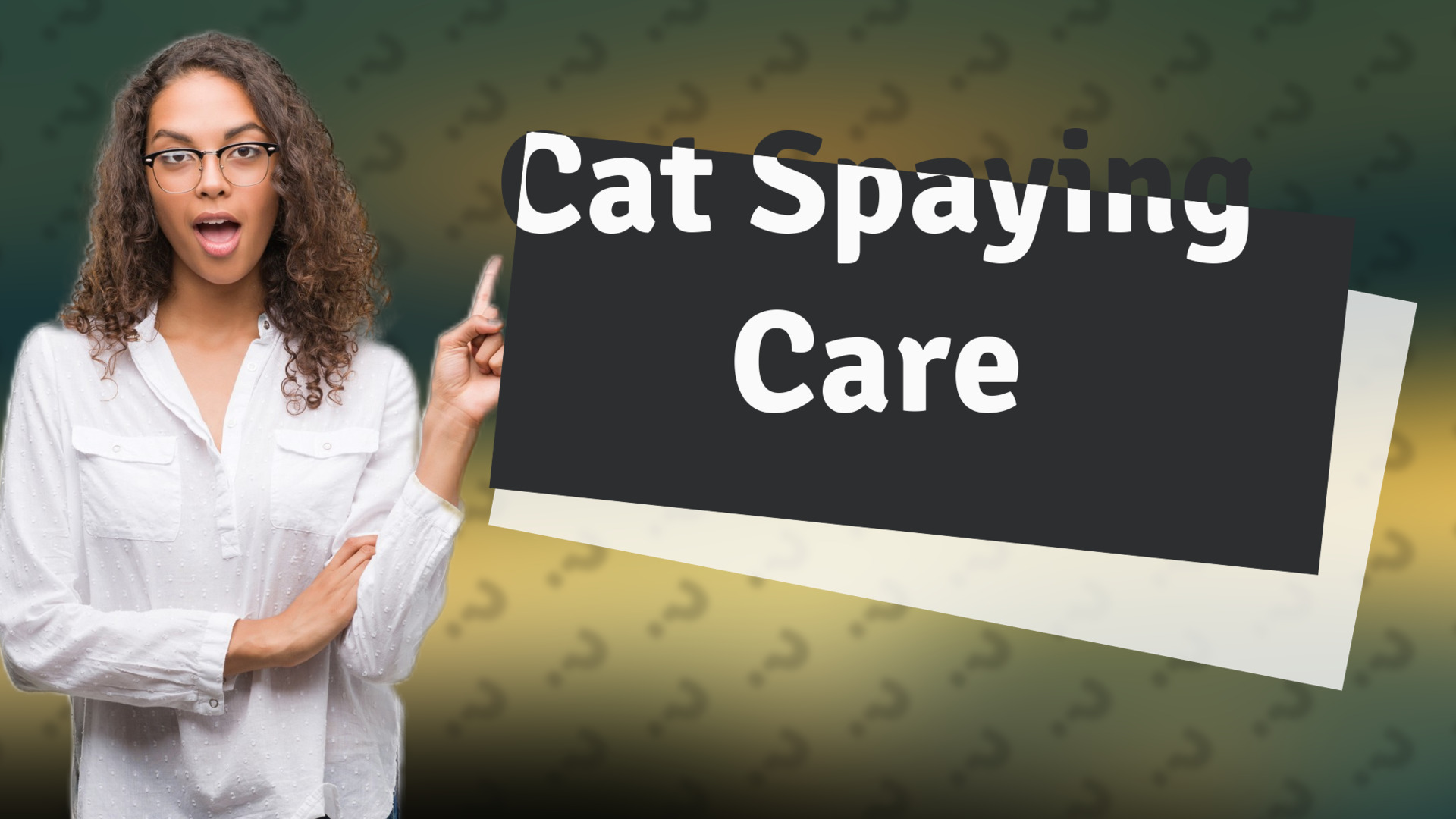 Cat Spaying Care