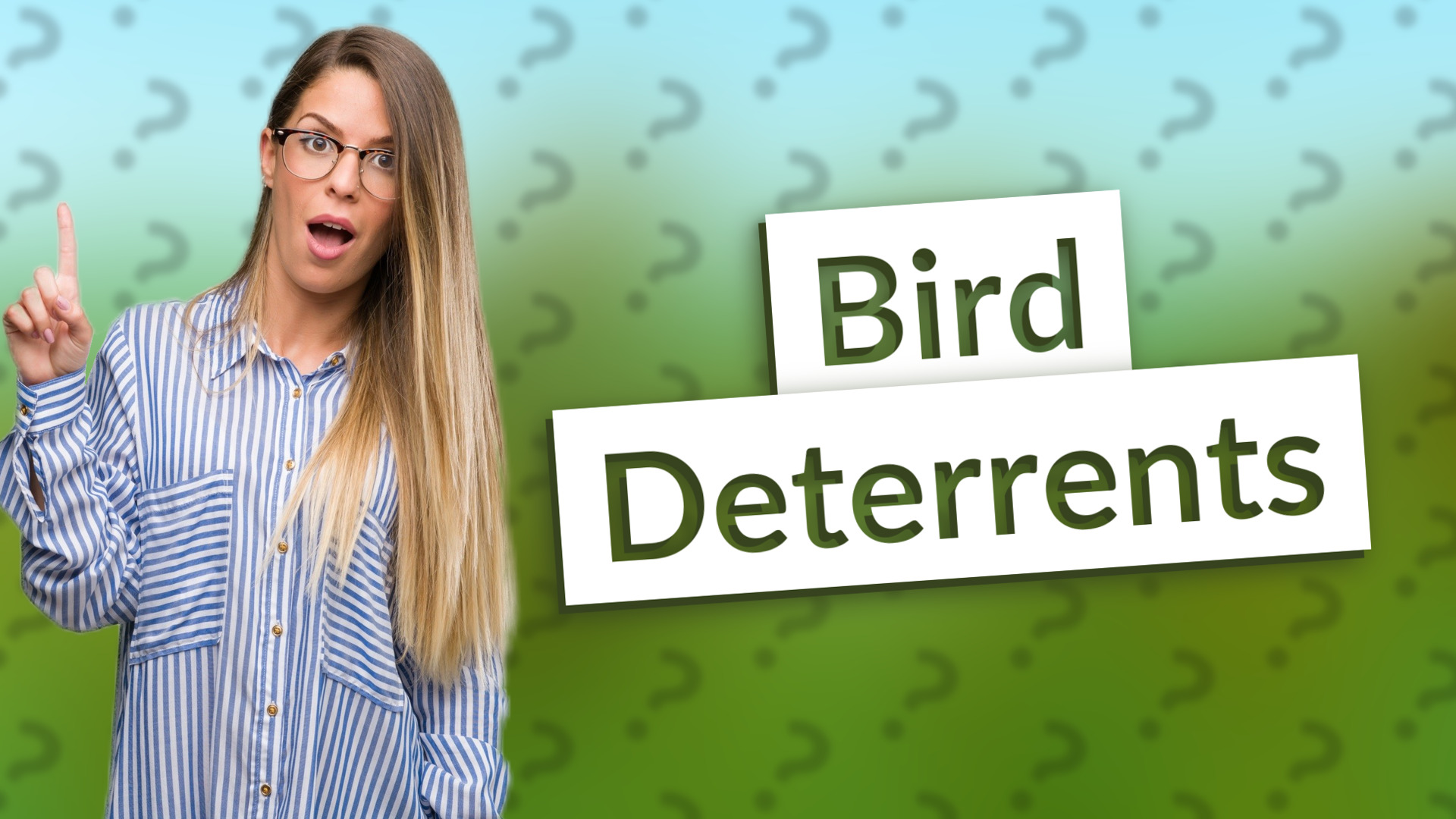 Bird Deterrents