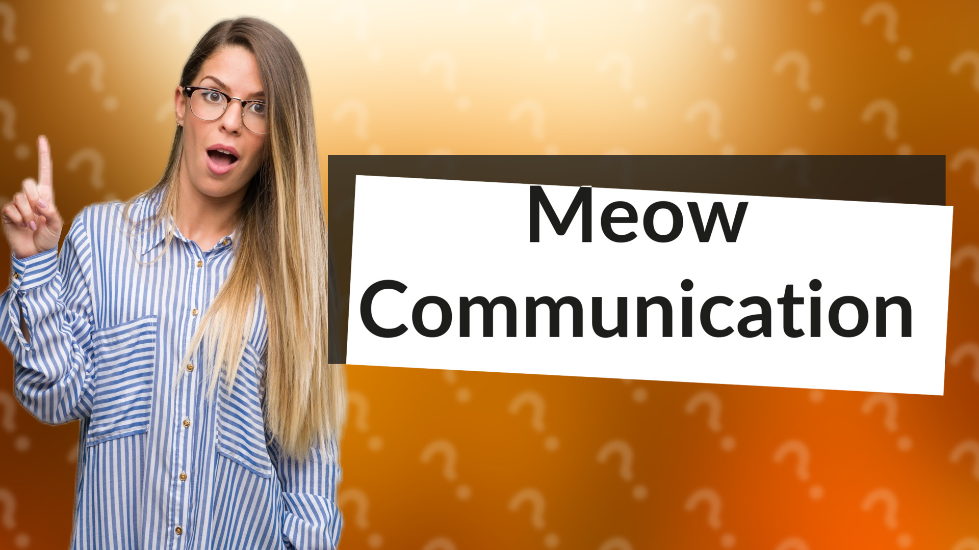Meow Communication