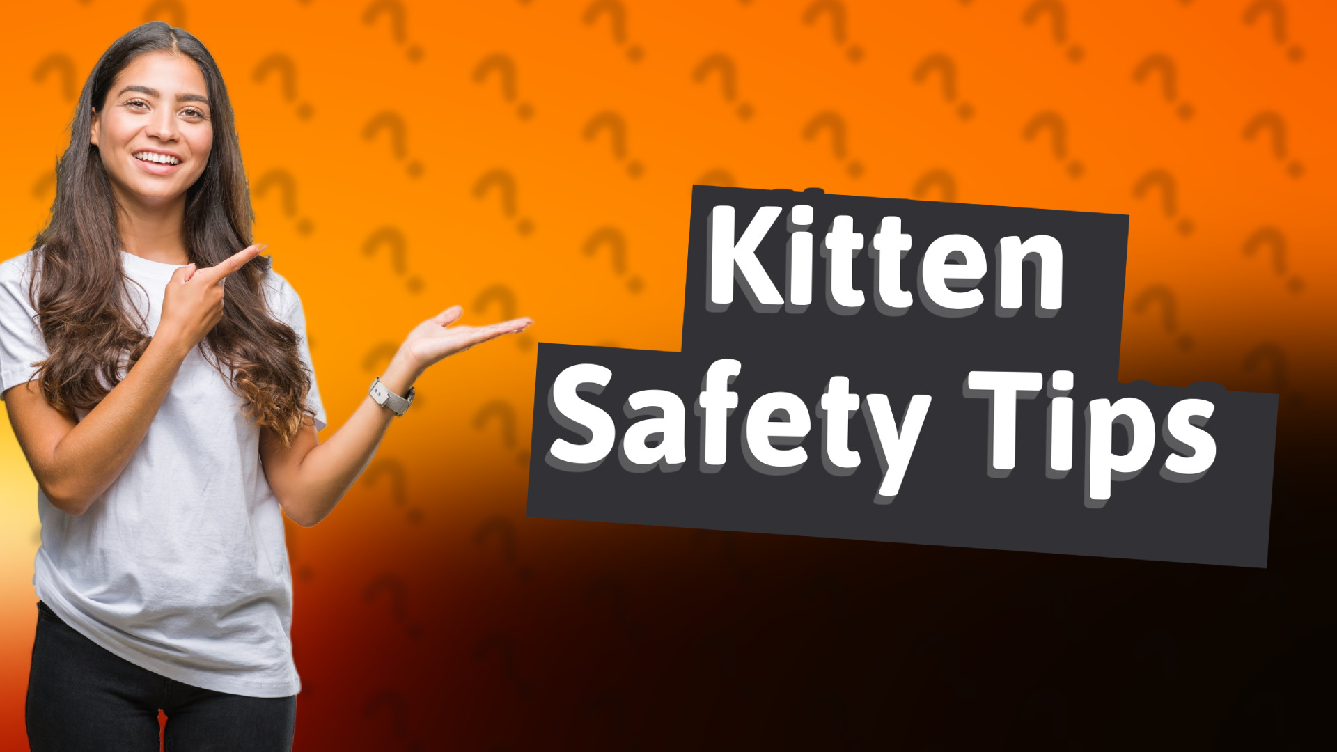 Kitten Safety Tips