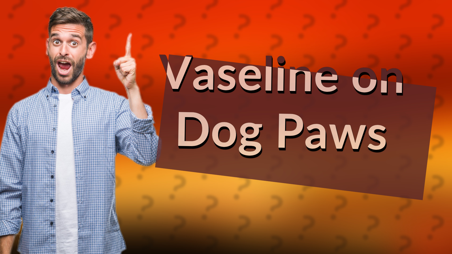 Vaseline on Dog Paws