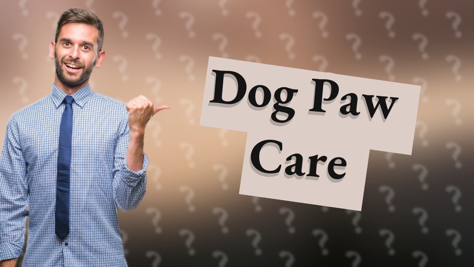 Dog Paw Care