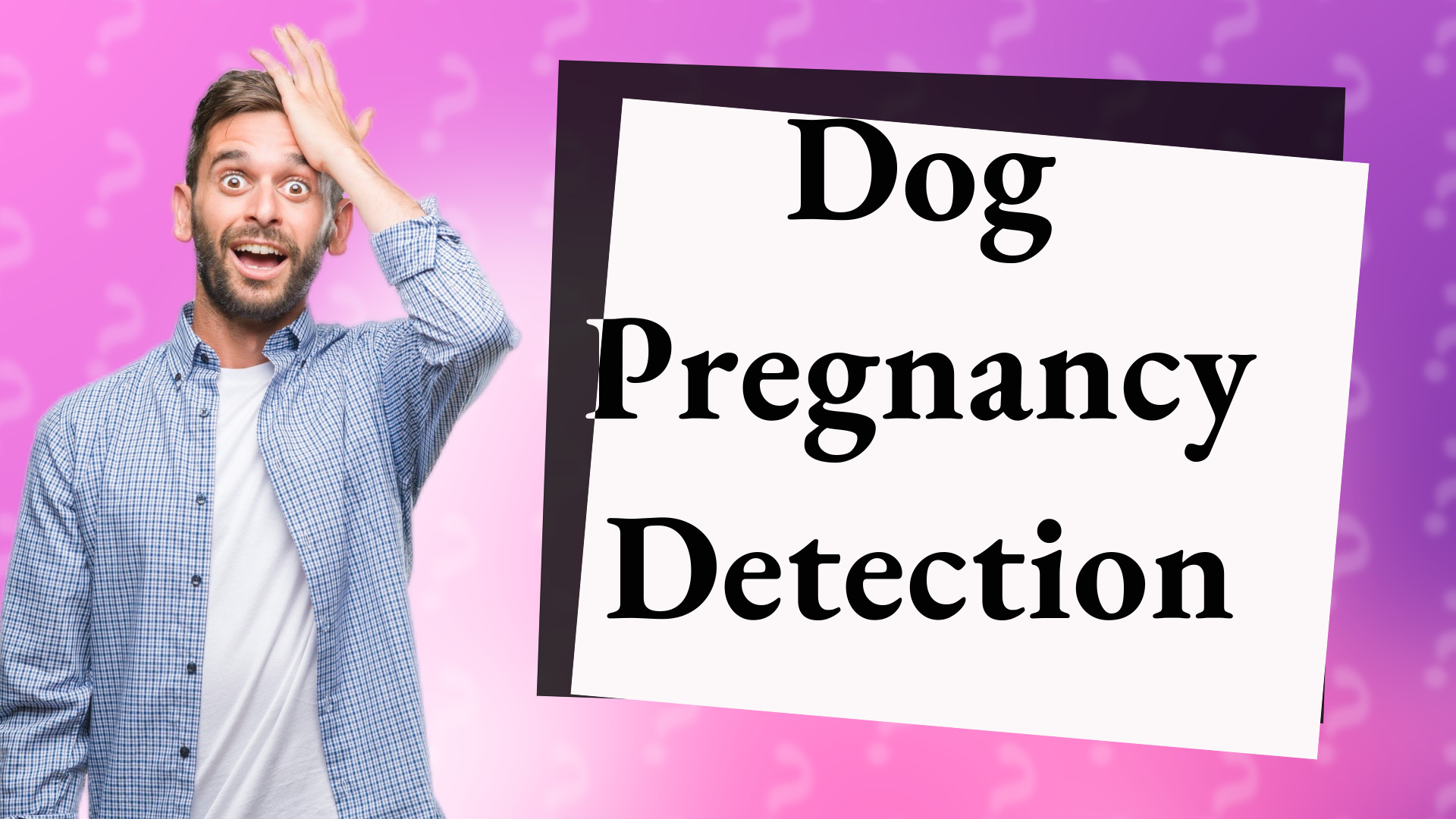 Dog Pregnancy Detection