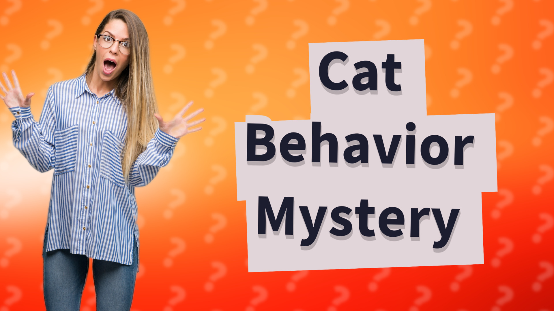 Cat Behavior Mystery