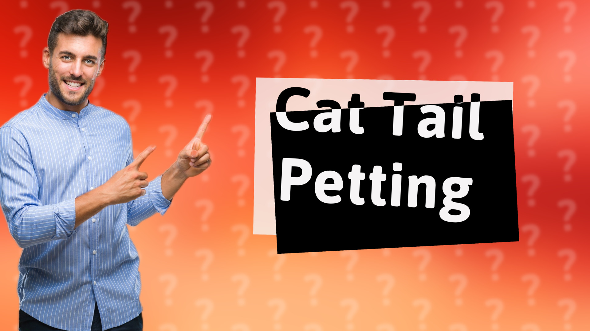 Cat Tail Petting