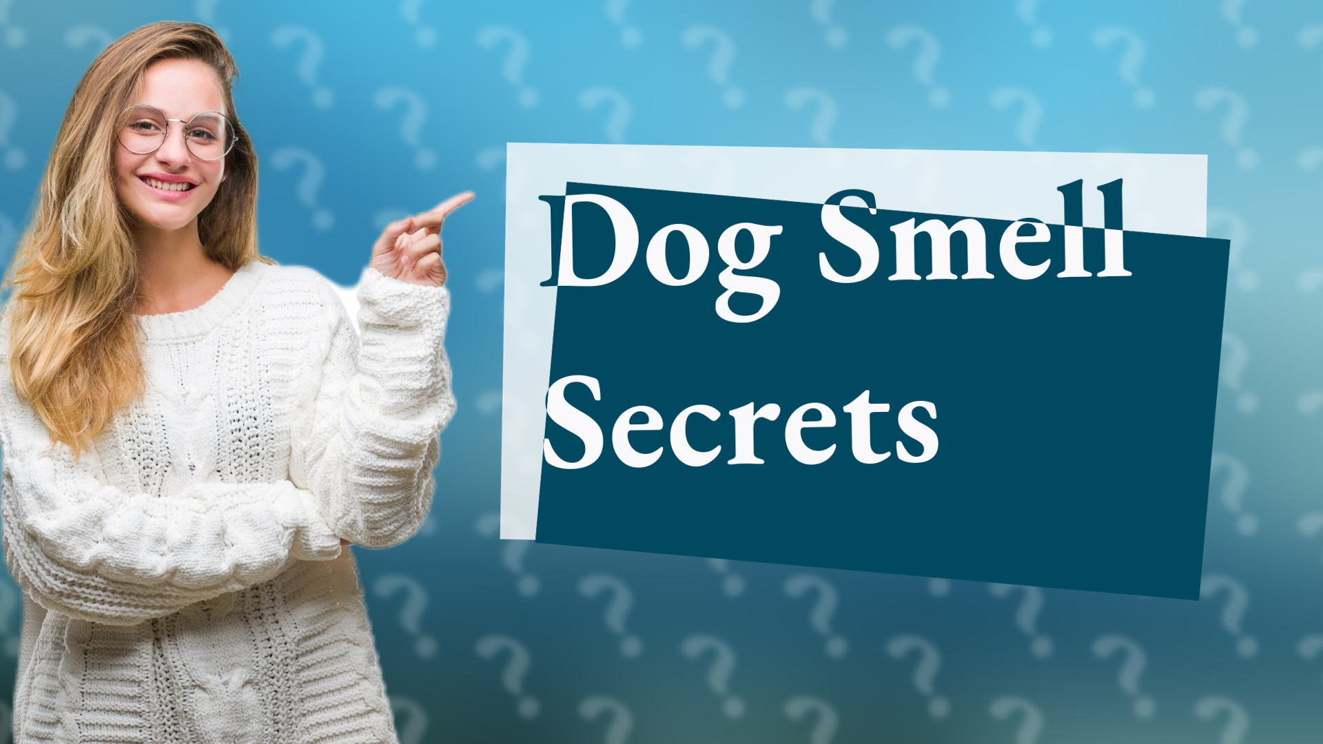 Dog Smell Secrets