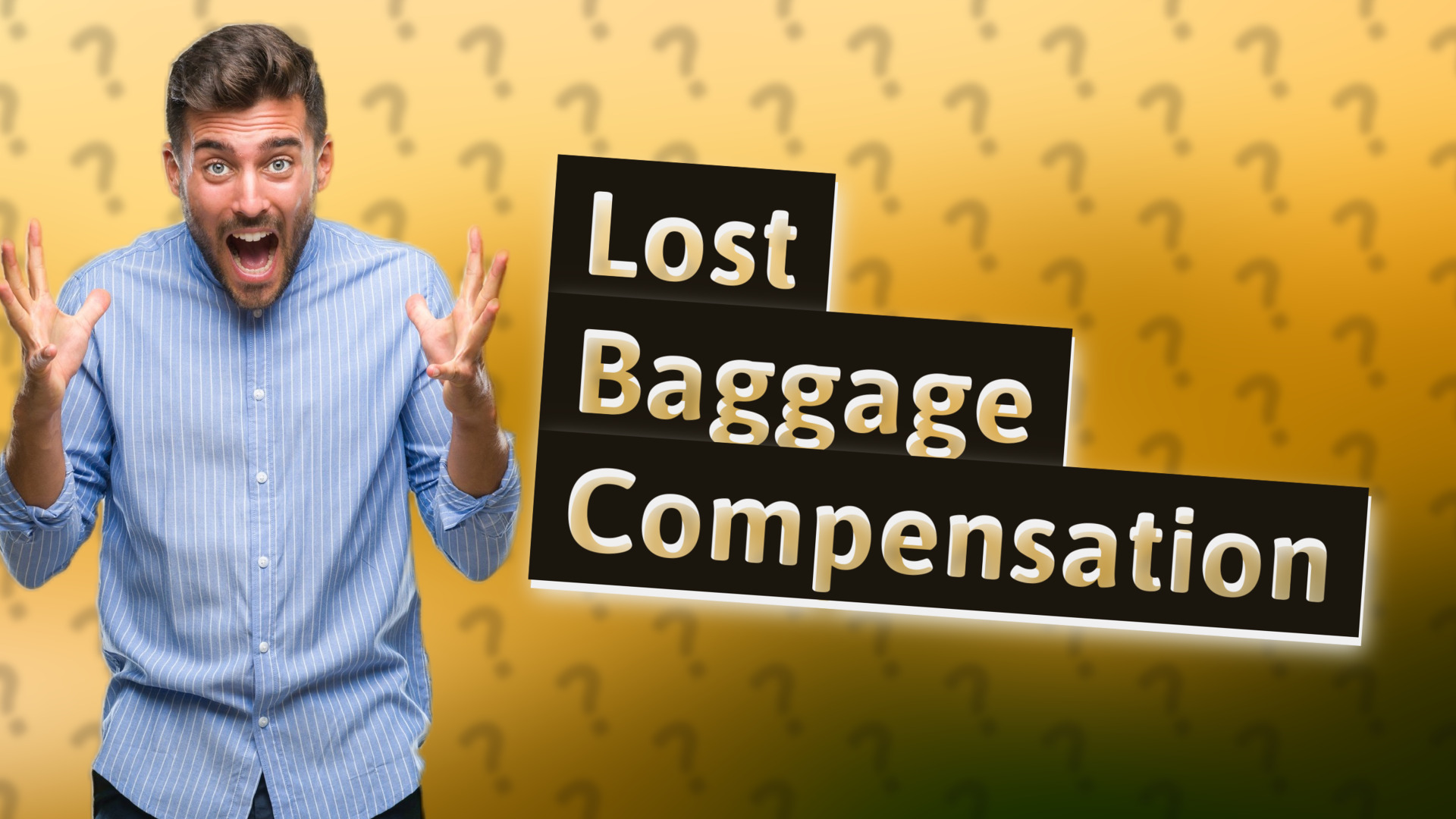 Lost Baggage Compensation
