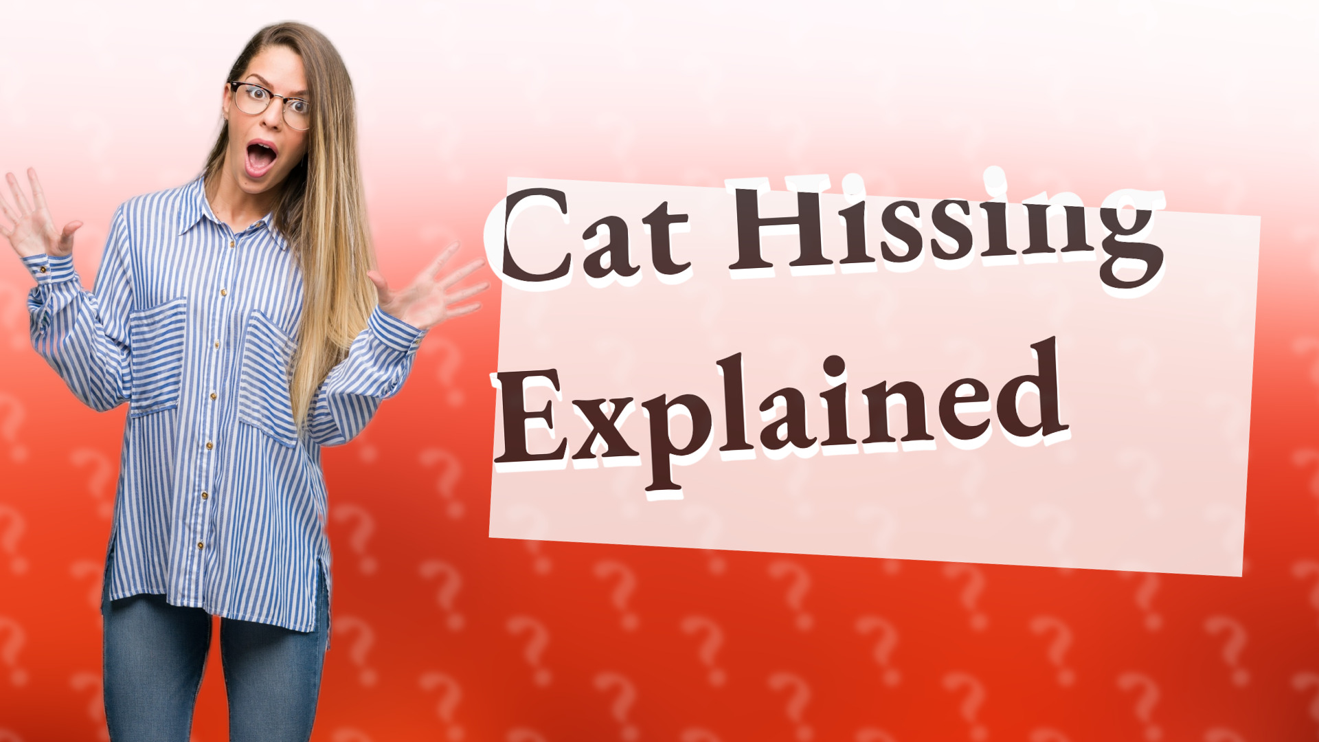 Cat Hissing Explained