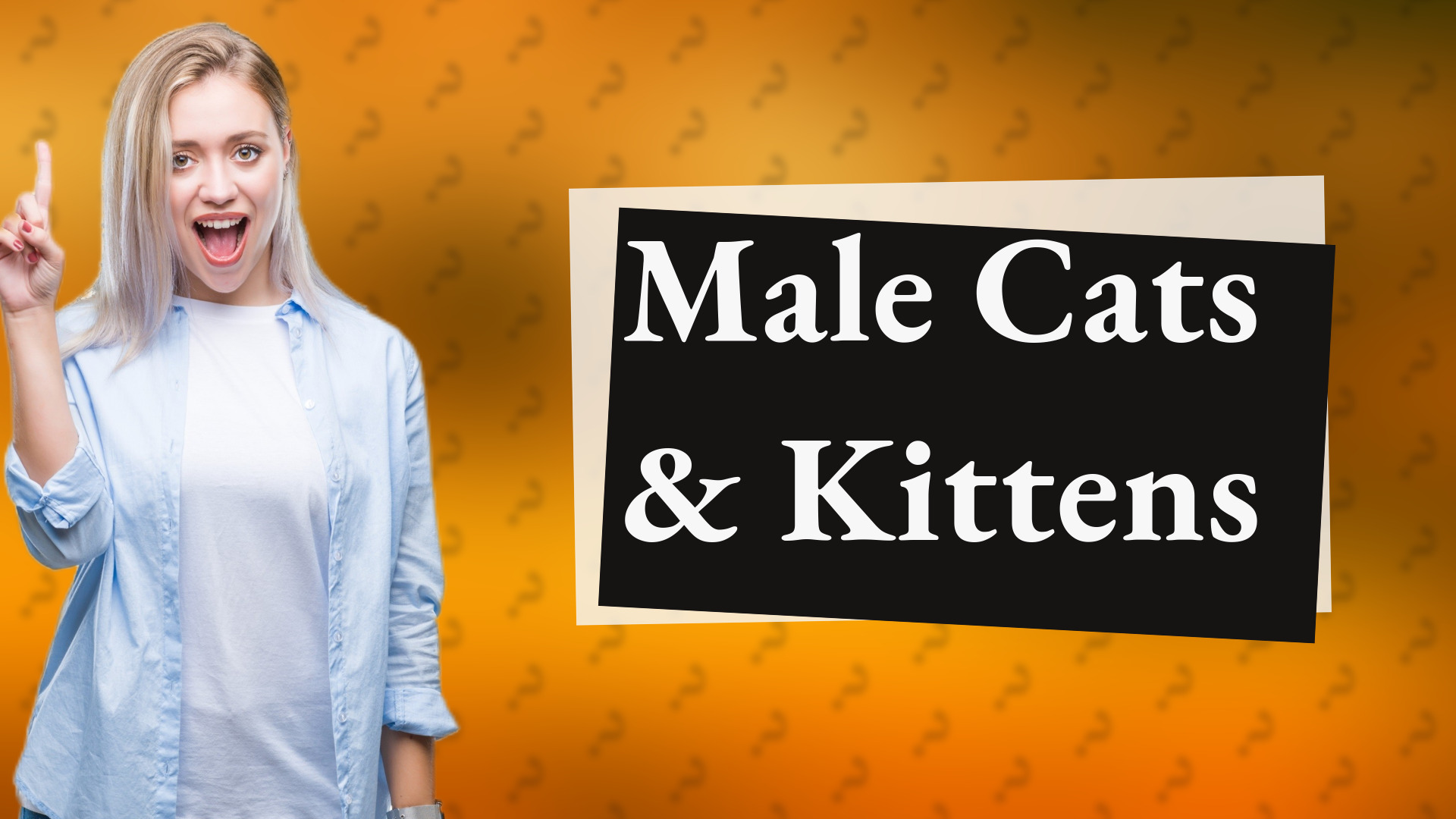 Male Cats & Kittens