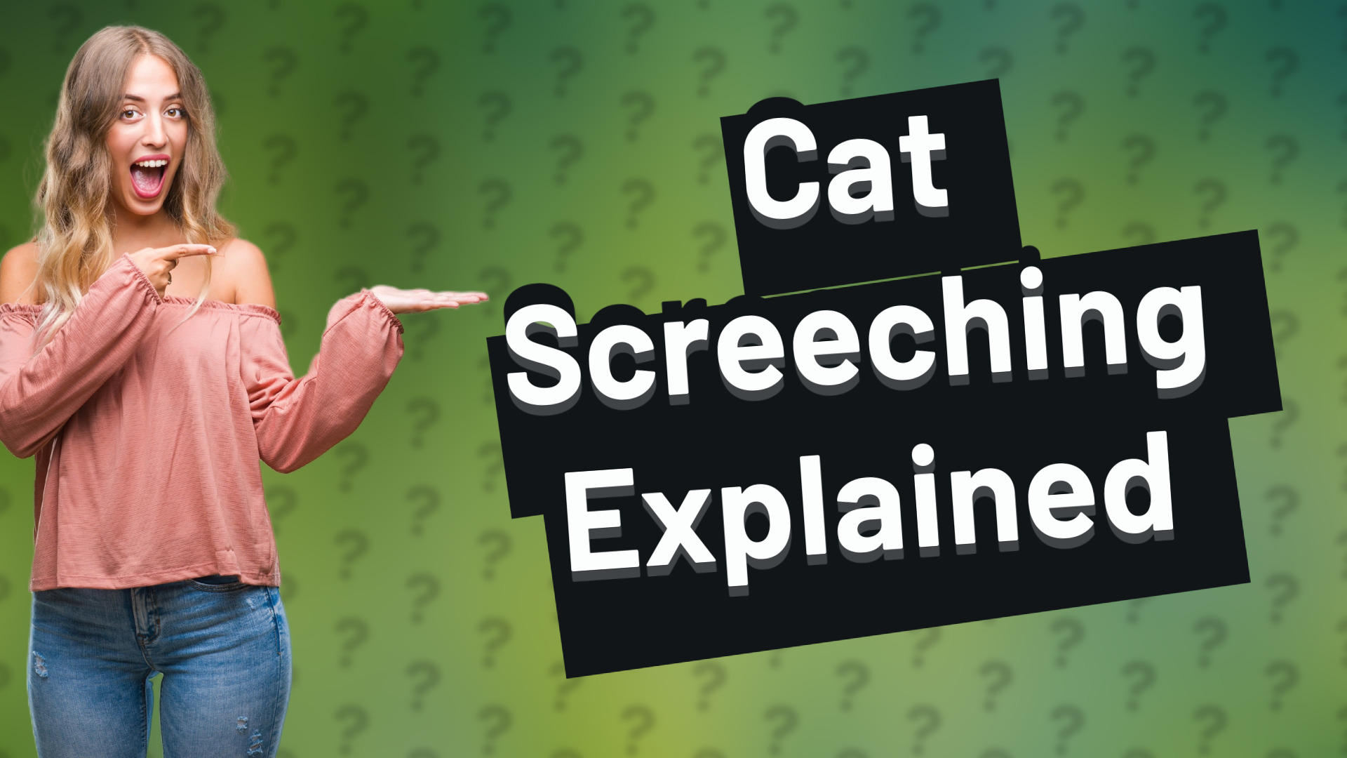 Cat Screeching Explained