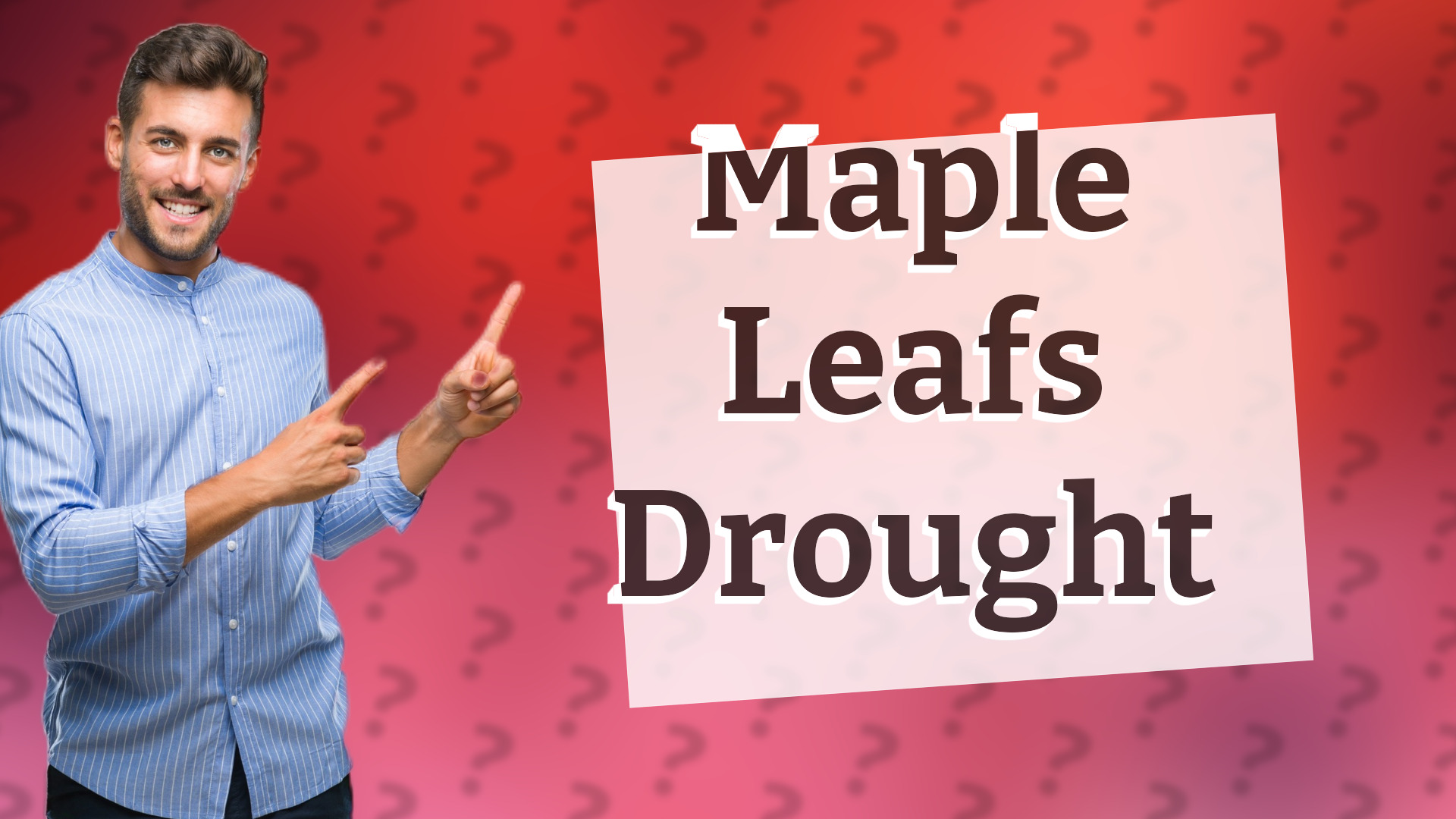 Maple Leafs Drought