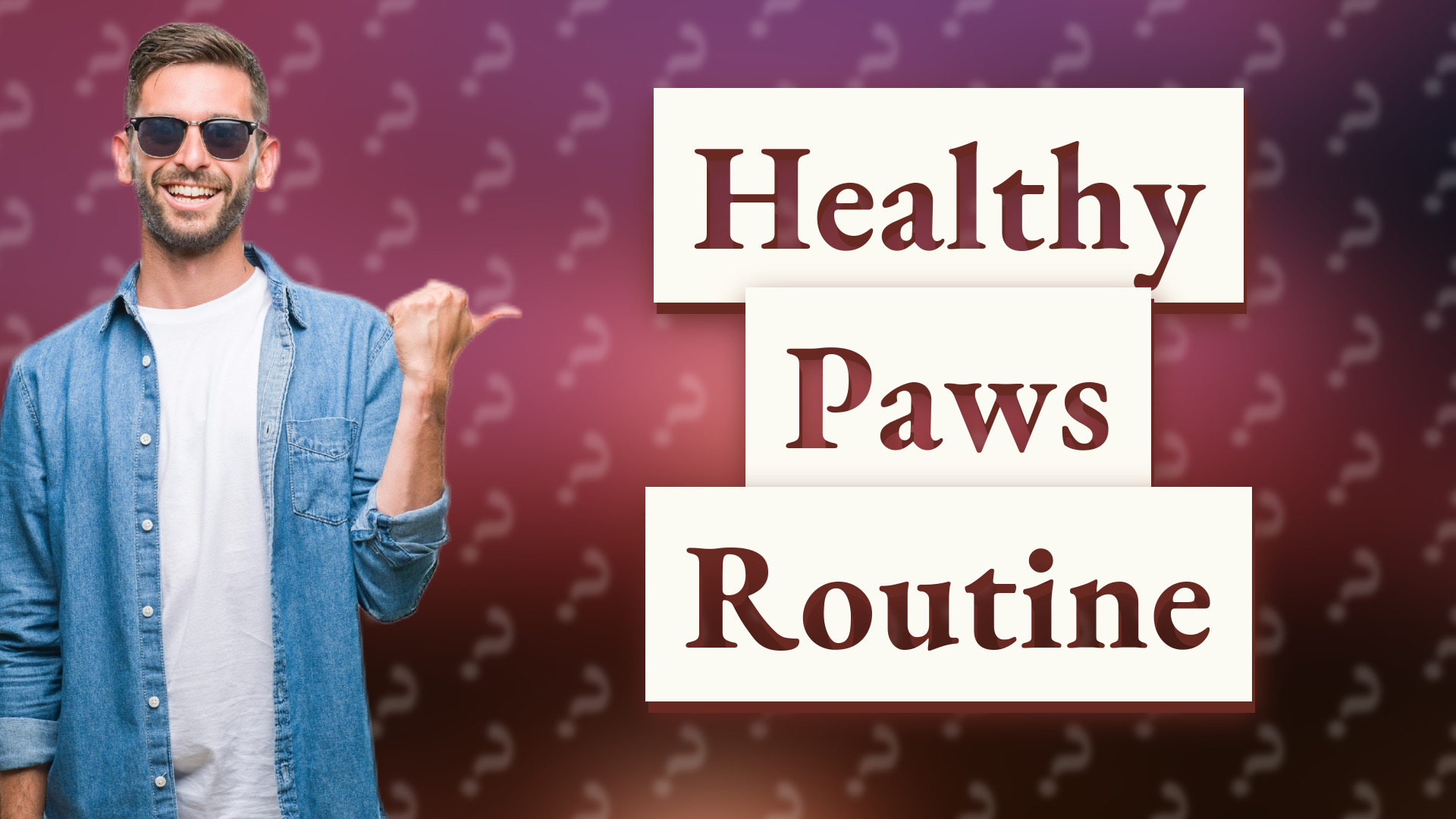 Healthy Paws Routine