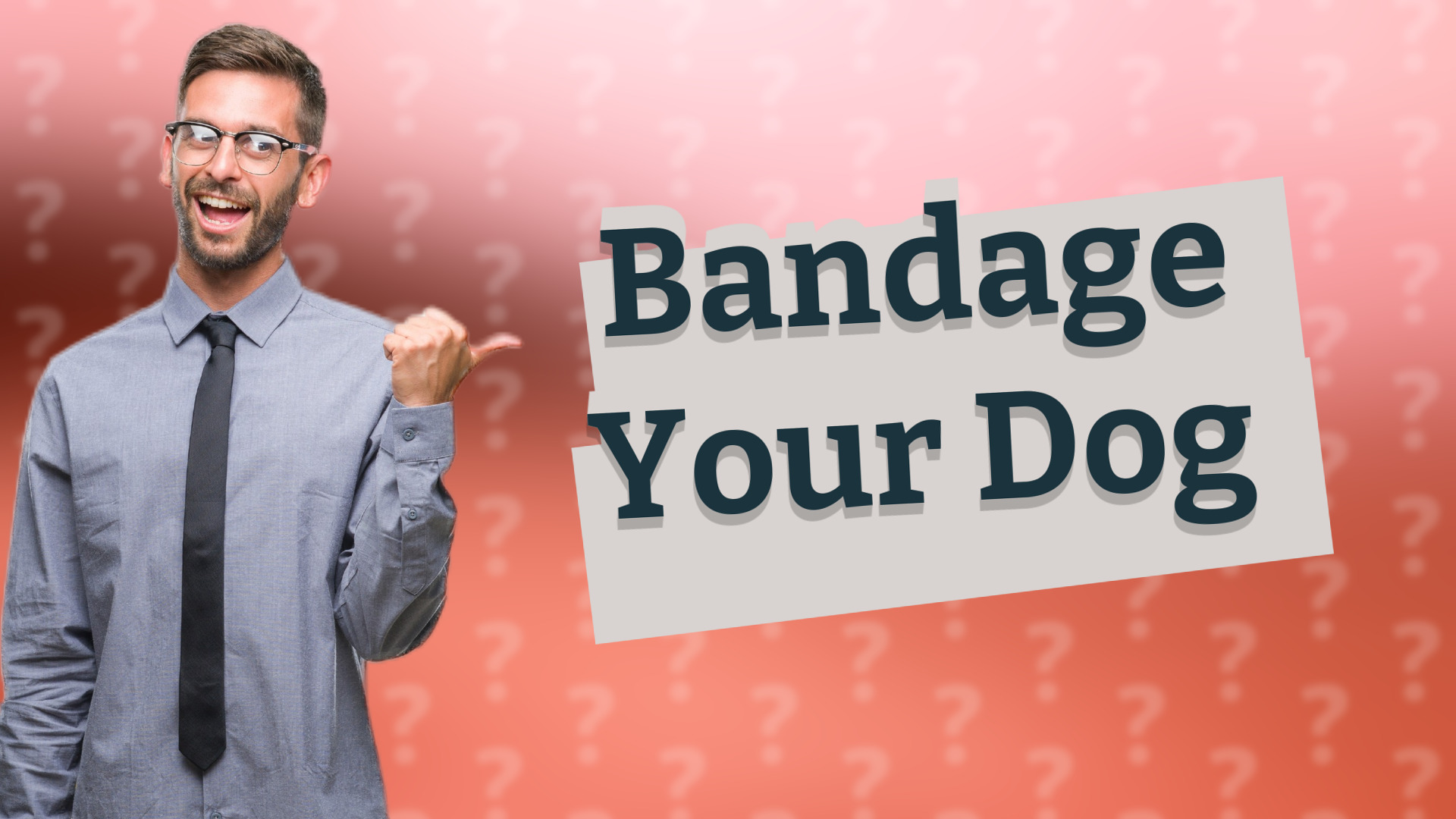 Bandage Your Dog