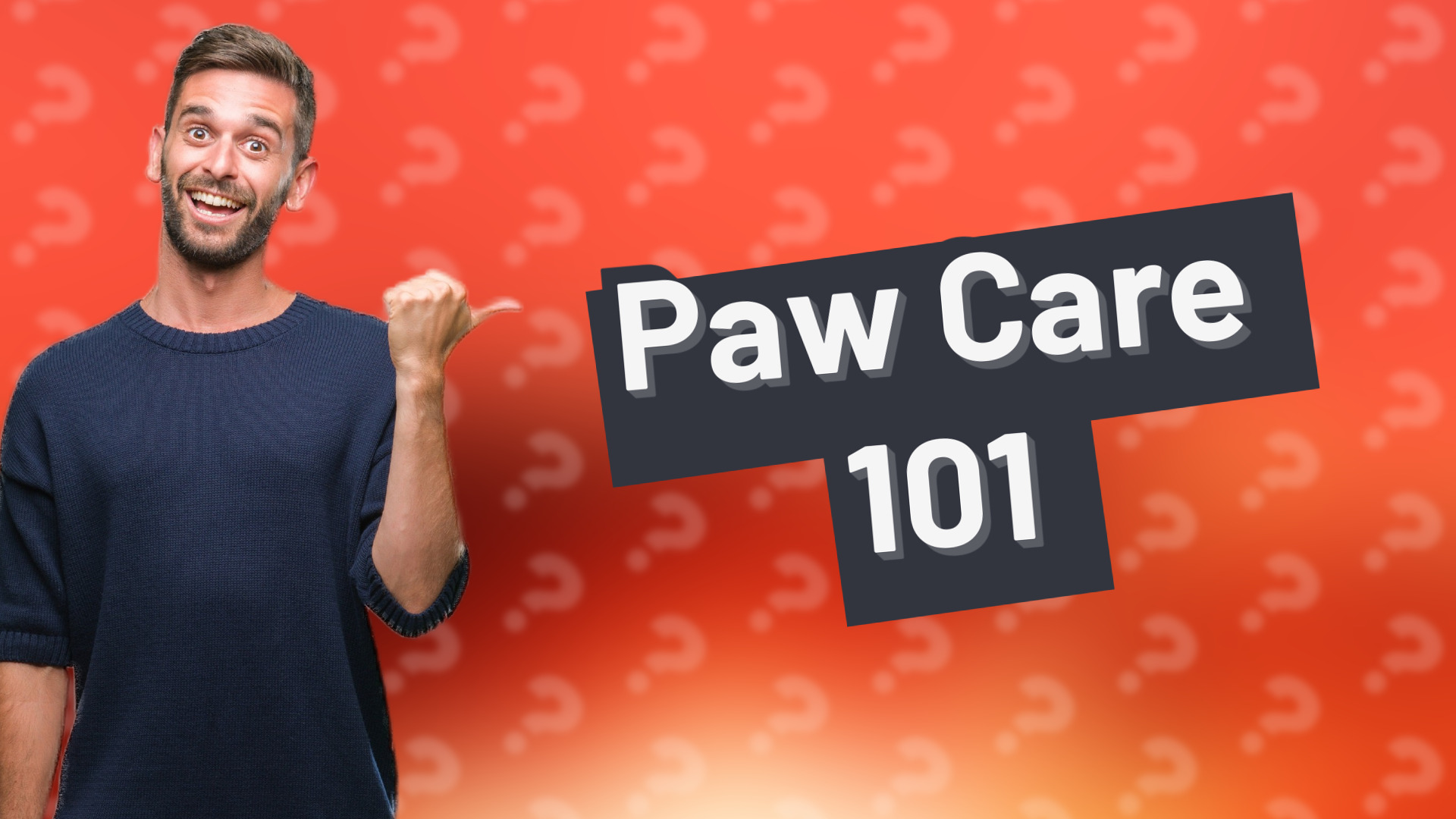 Paw Care 101