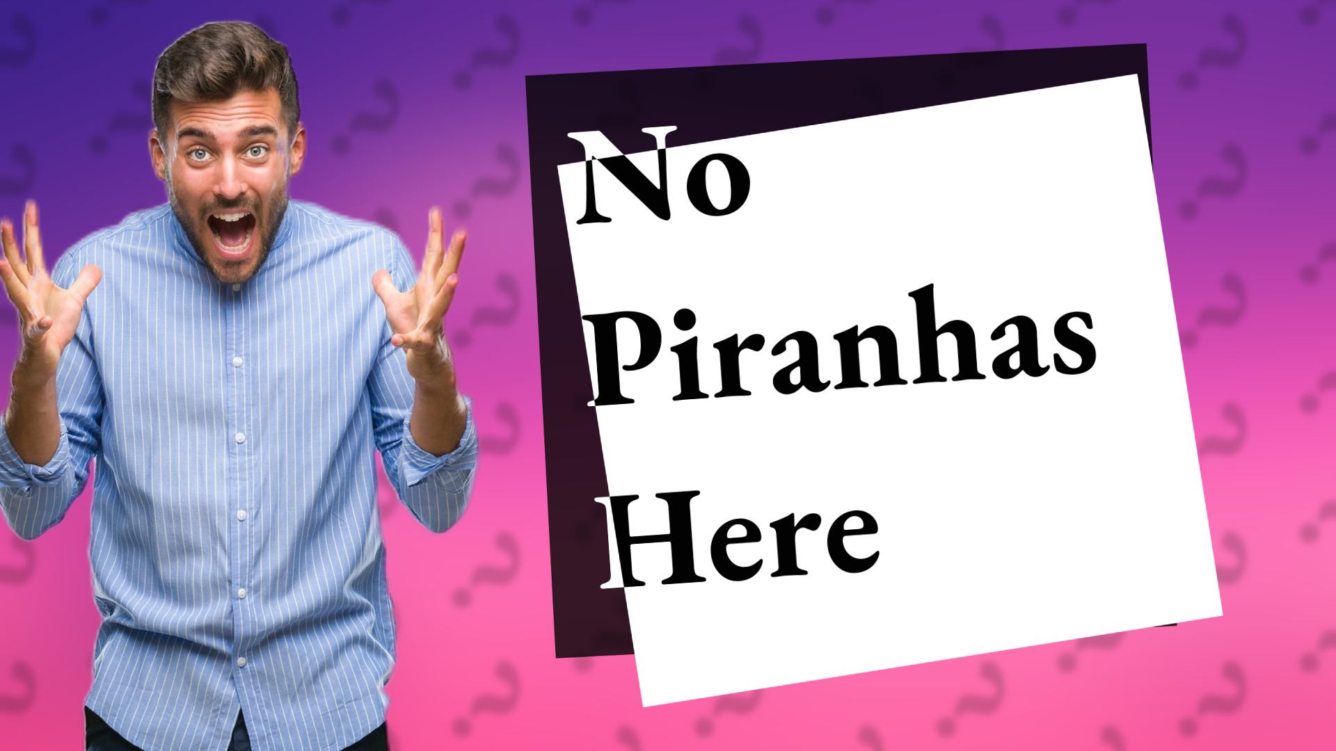No Piranhas Here