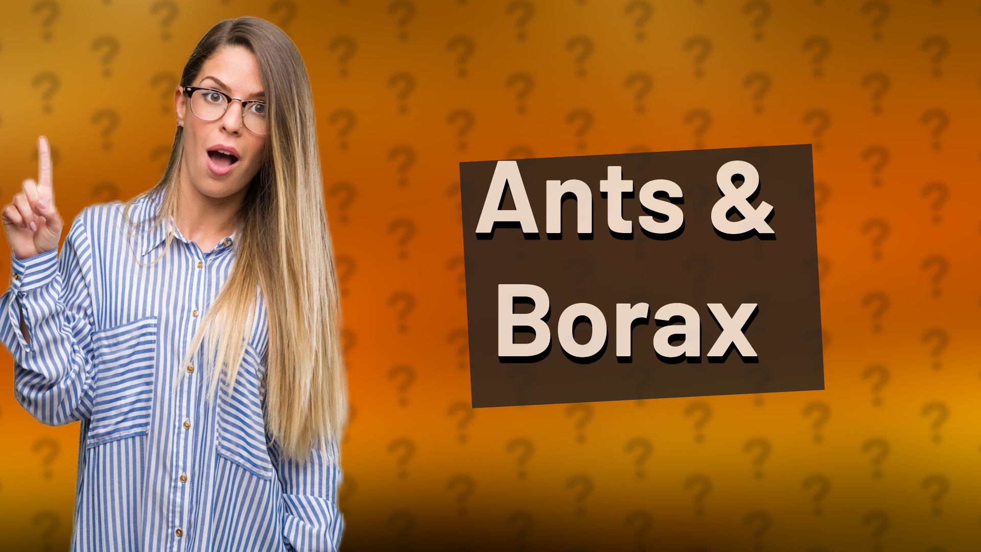 Ants & Borax