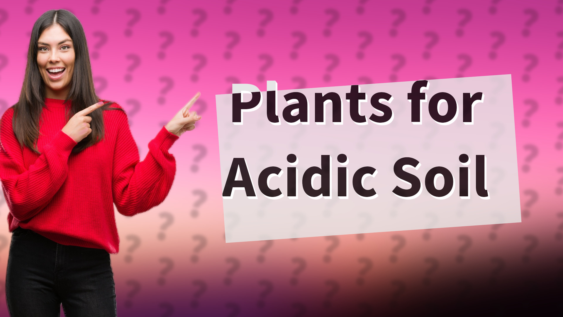 Plants for Acidic Soil