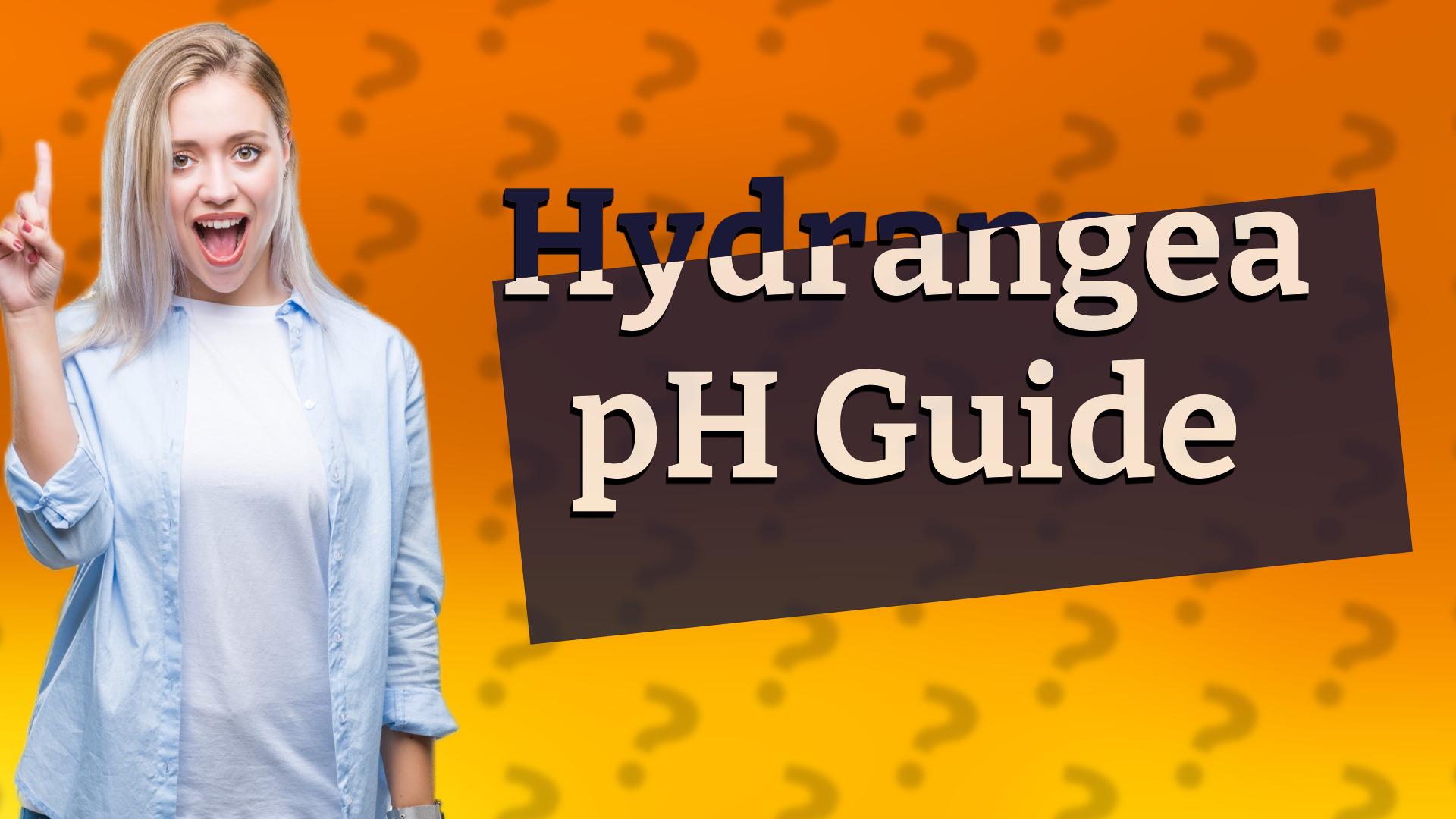 Hydrangea pH Guide