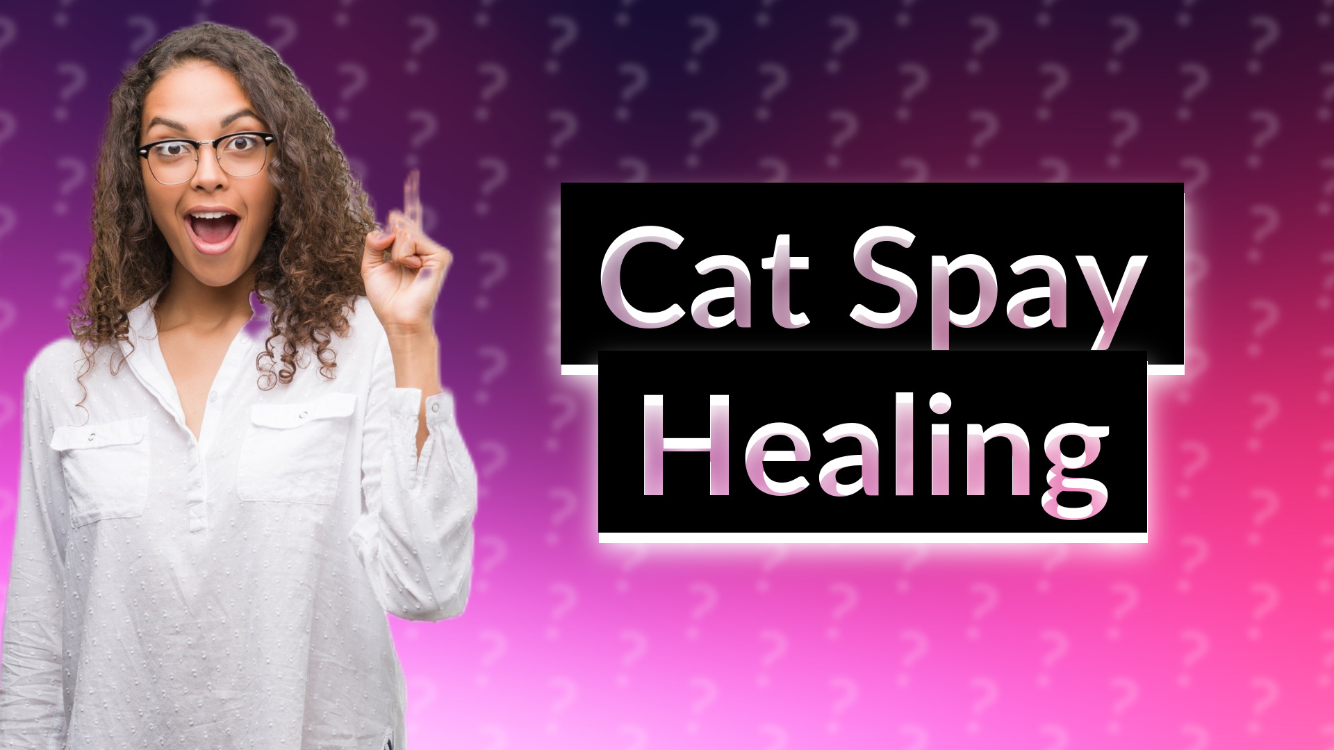 Cat Spay Healing