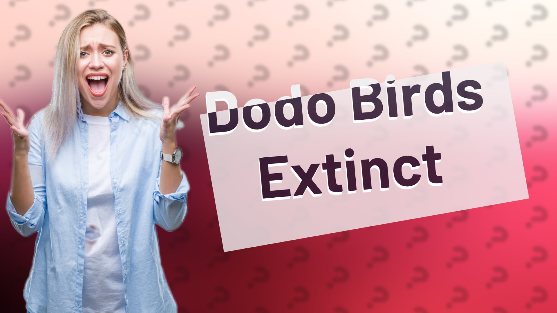 Dodo Birds Extinct