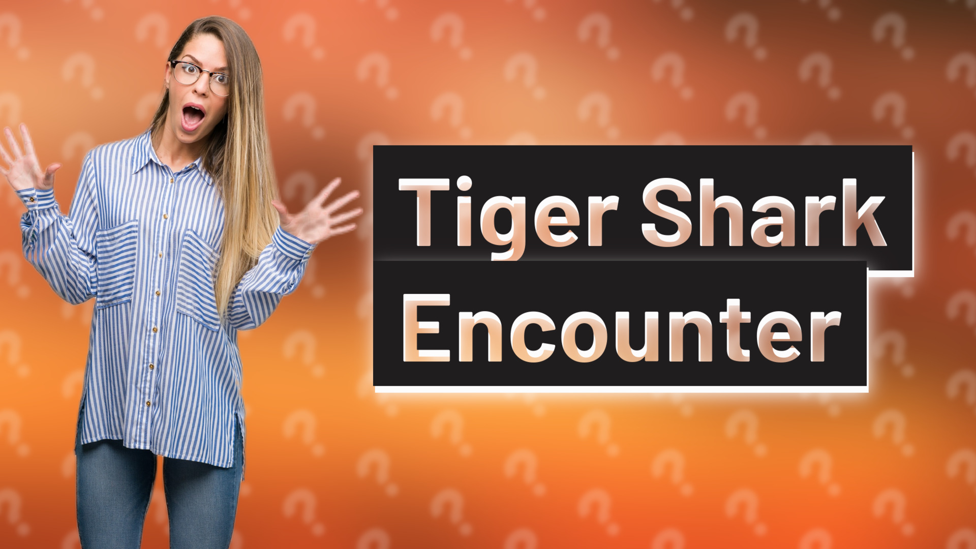 Tiger Shark Encounter