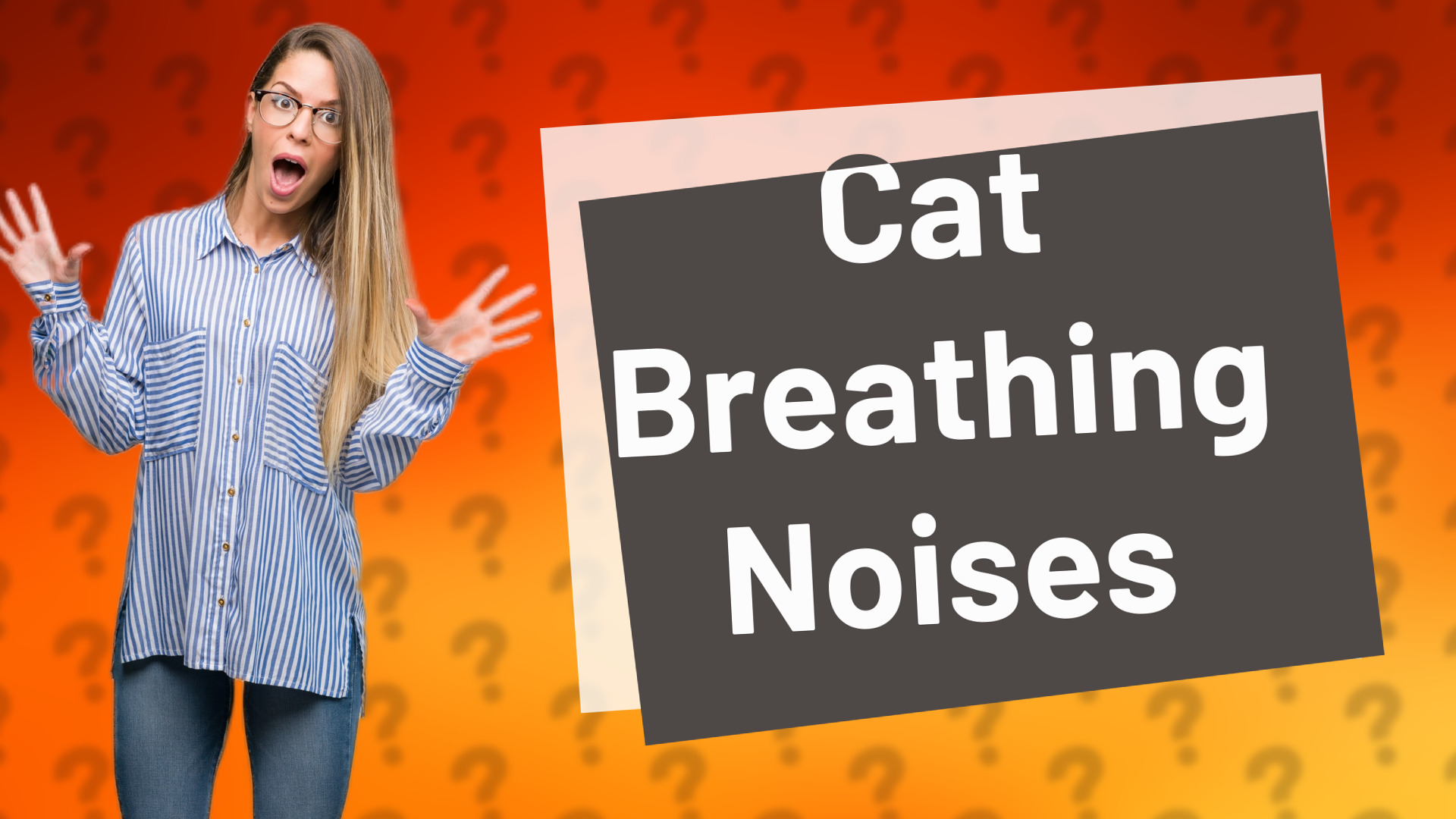 Cat Breathing Noises