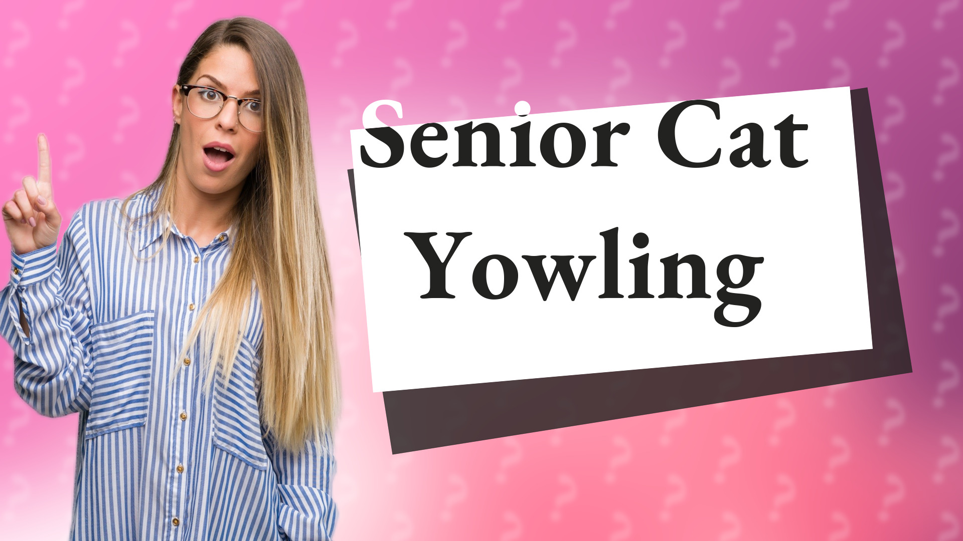 Senior Cat Yowling