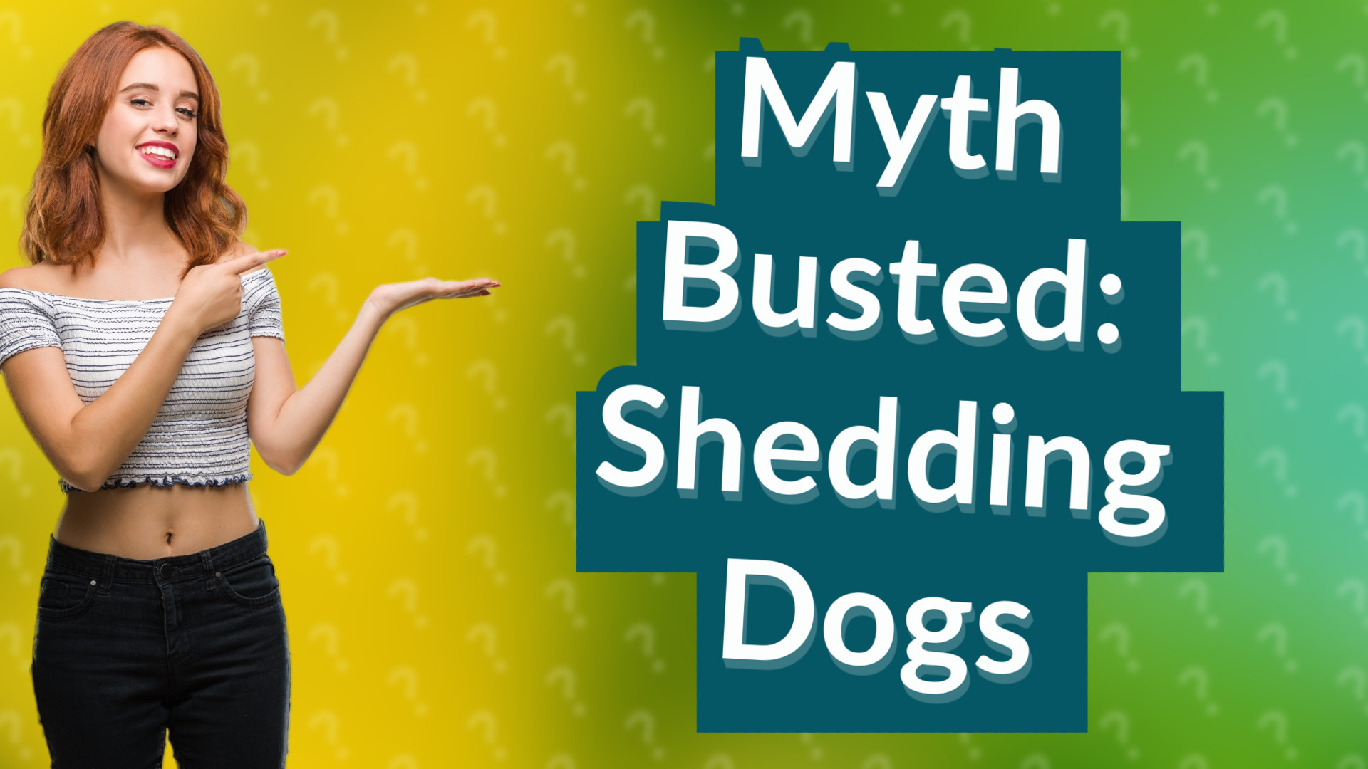 Myth Busted: Shedding Dogs
