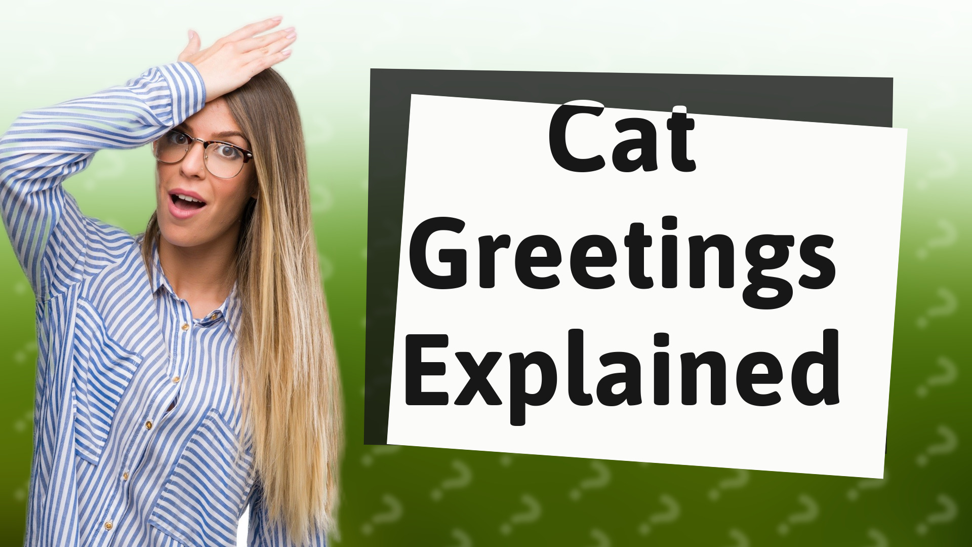 Cat Greetings Explained