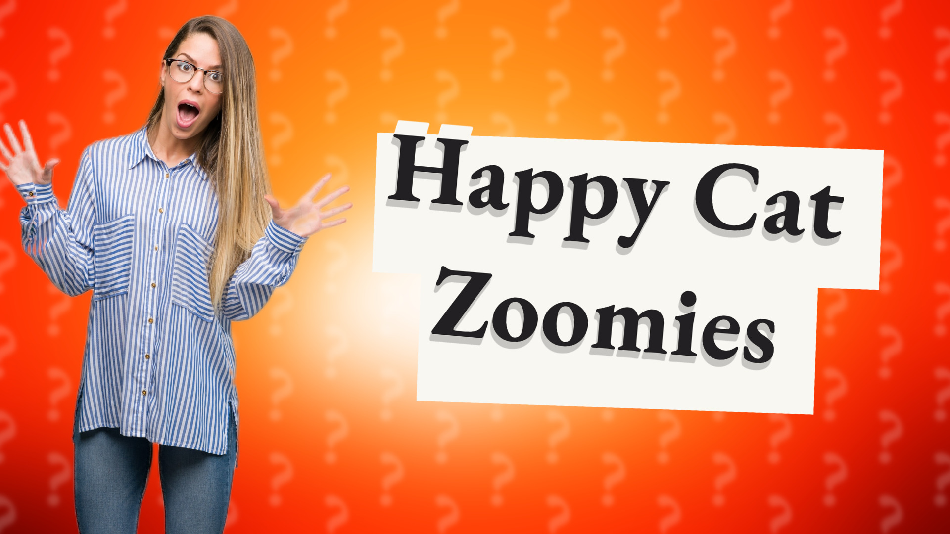 Happy Cat Zoomies