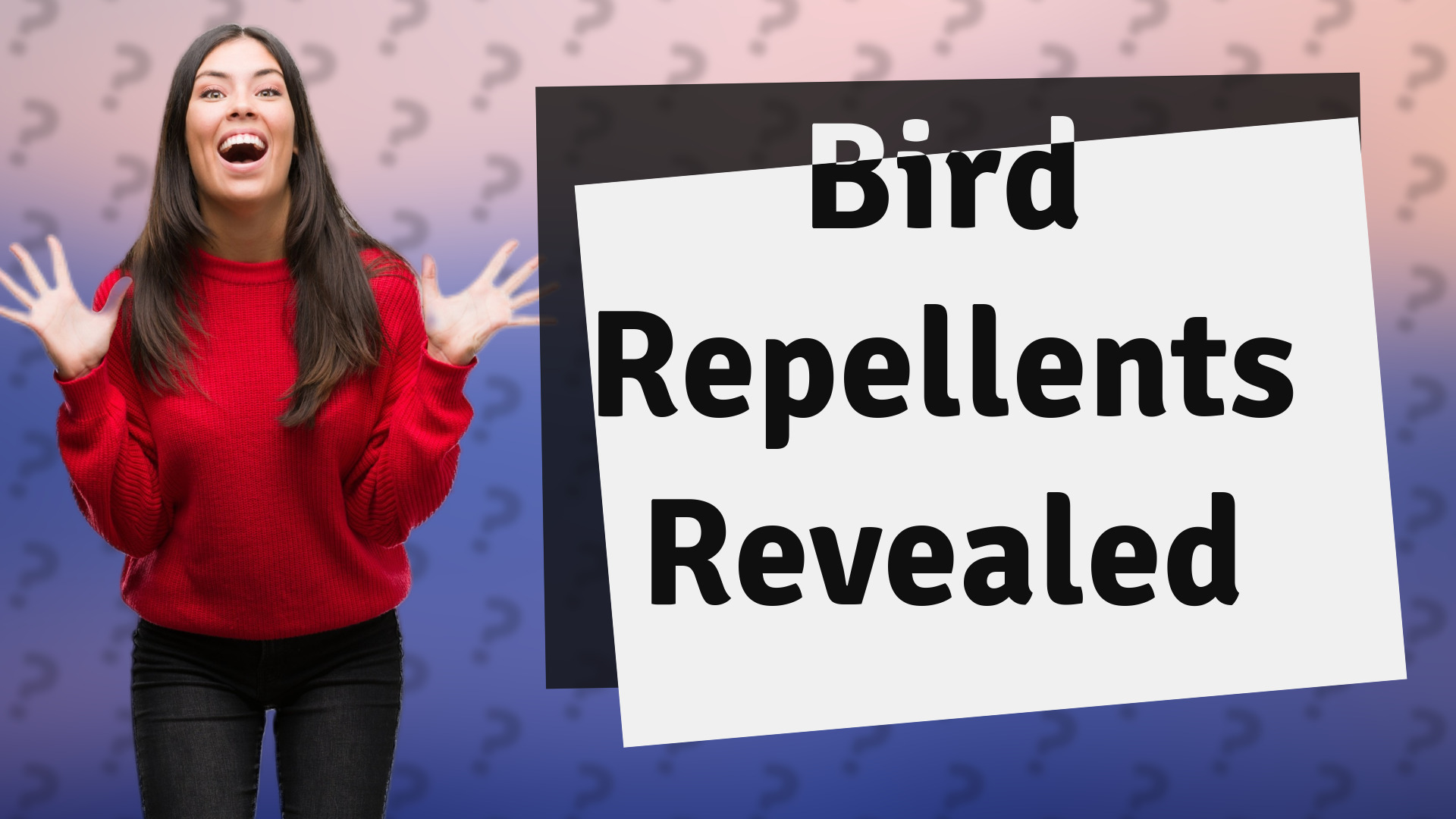 Bird Repellents Revealed