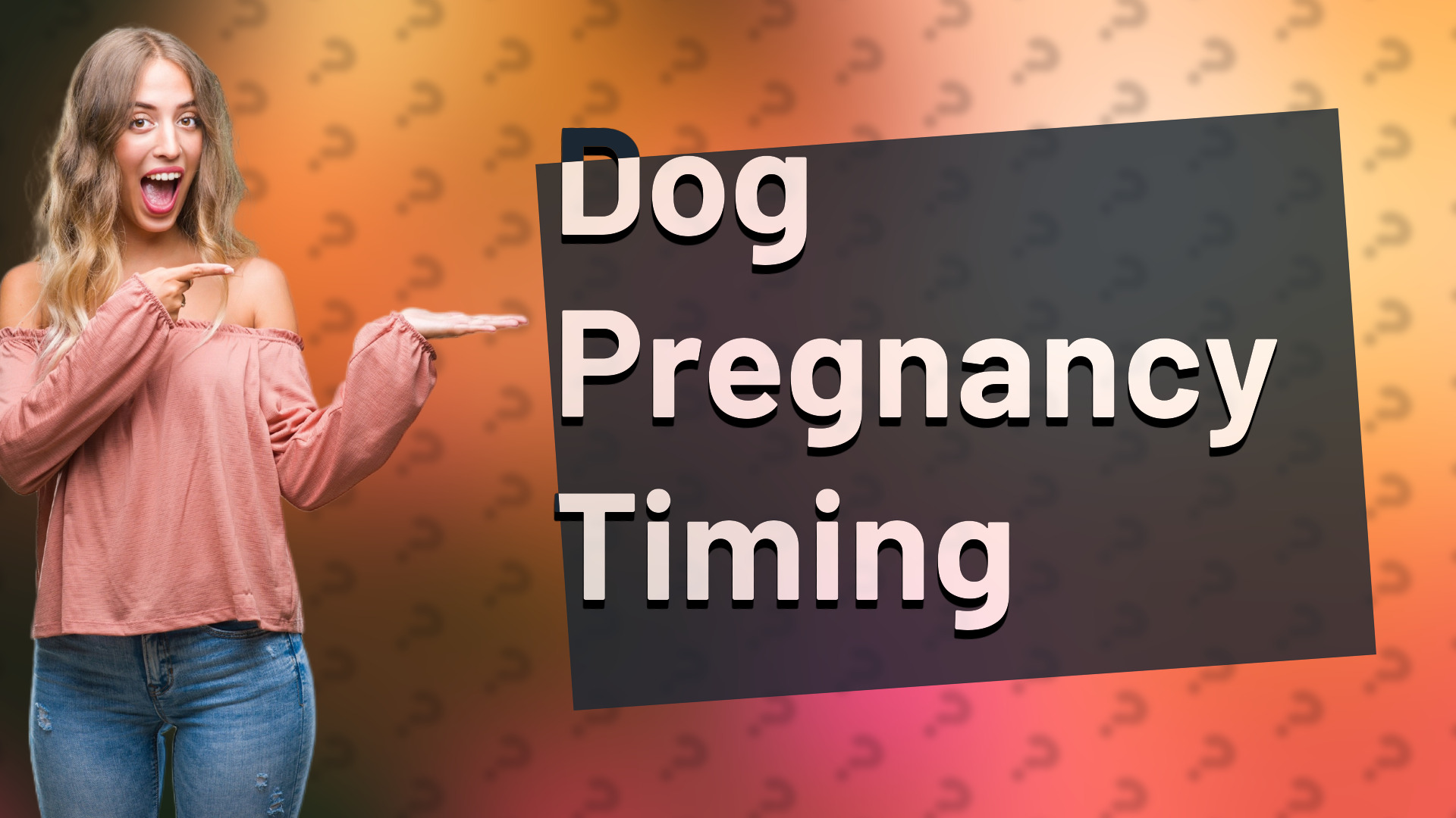 Dog Pregnancy Timing