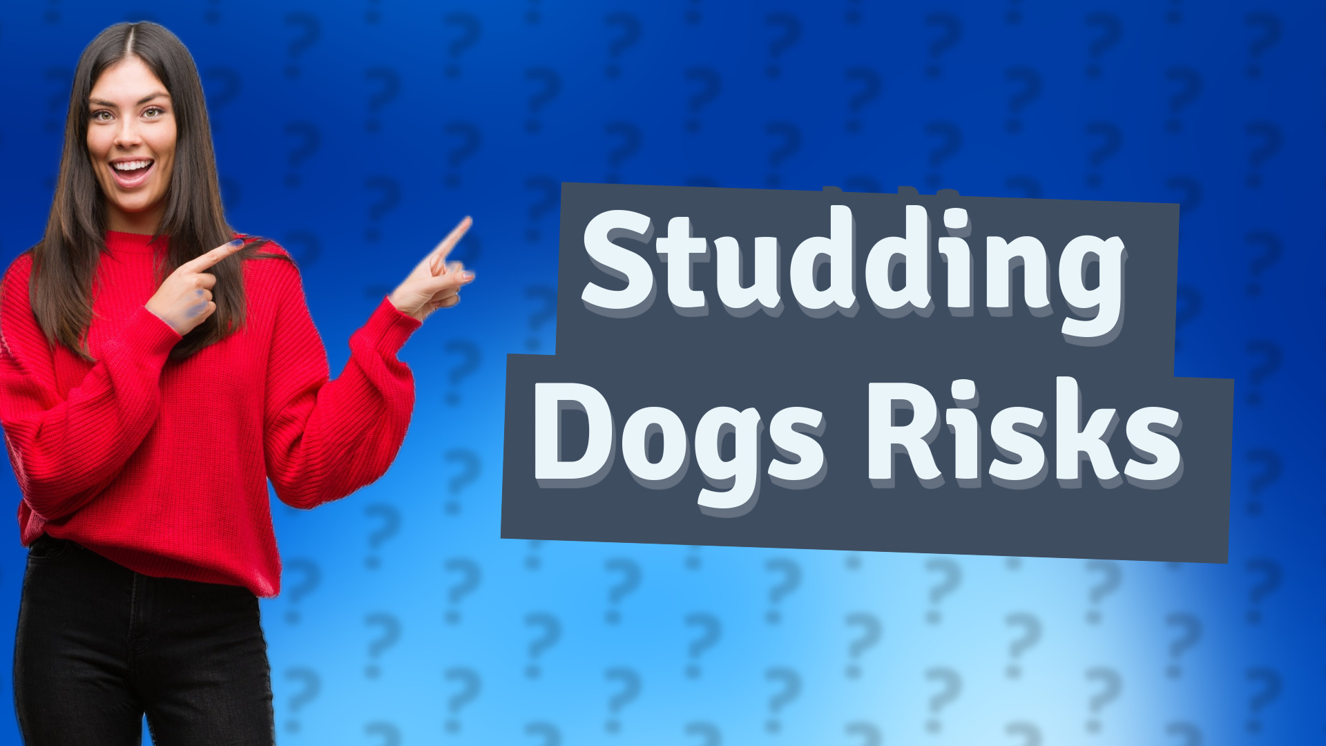 Studding Dogs Risks