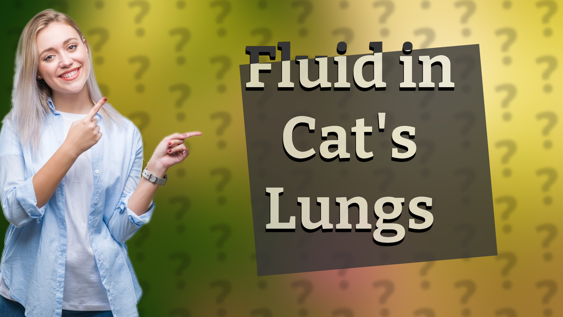 Fluid in Cat's Lungs