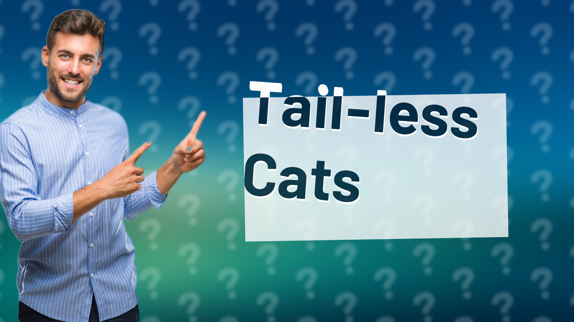 Tail-less Cats