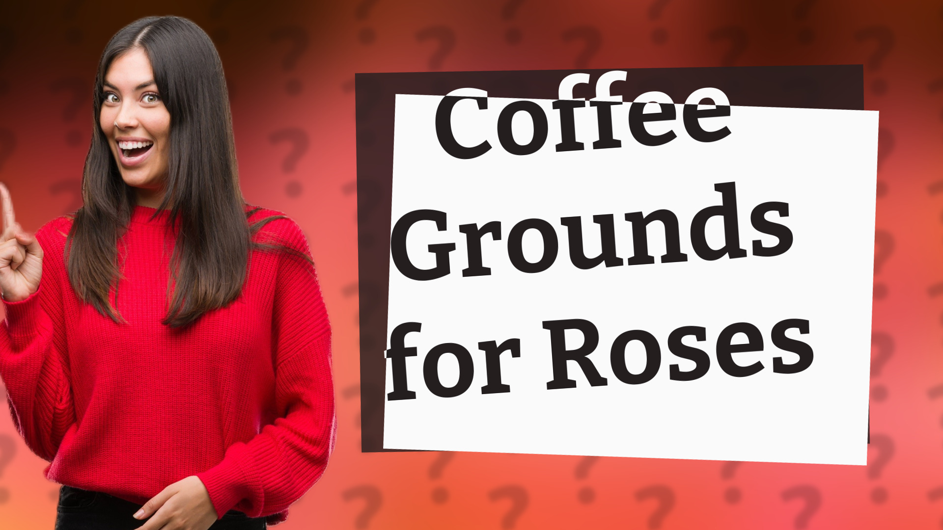 Coffee Grounds for Roses