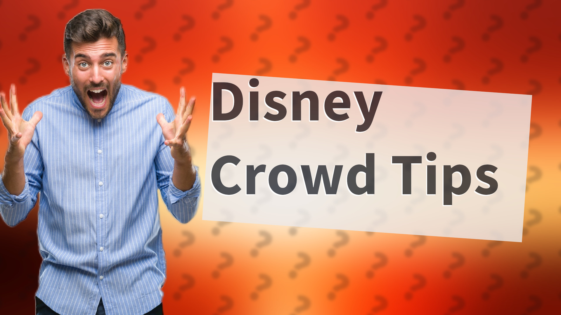 Disney Crowd Tips