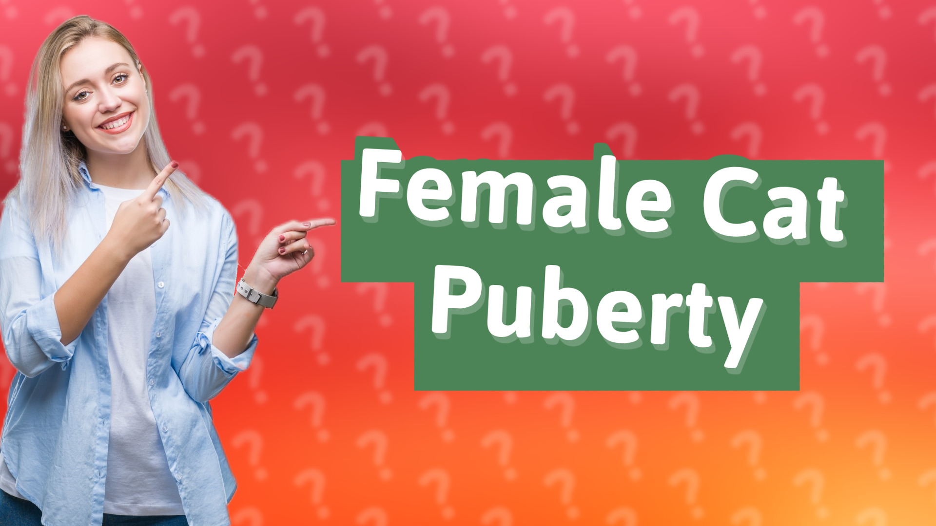 Female Cat Puberty