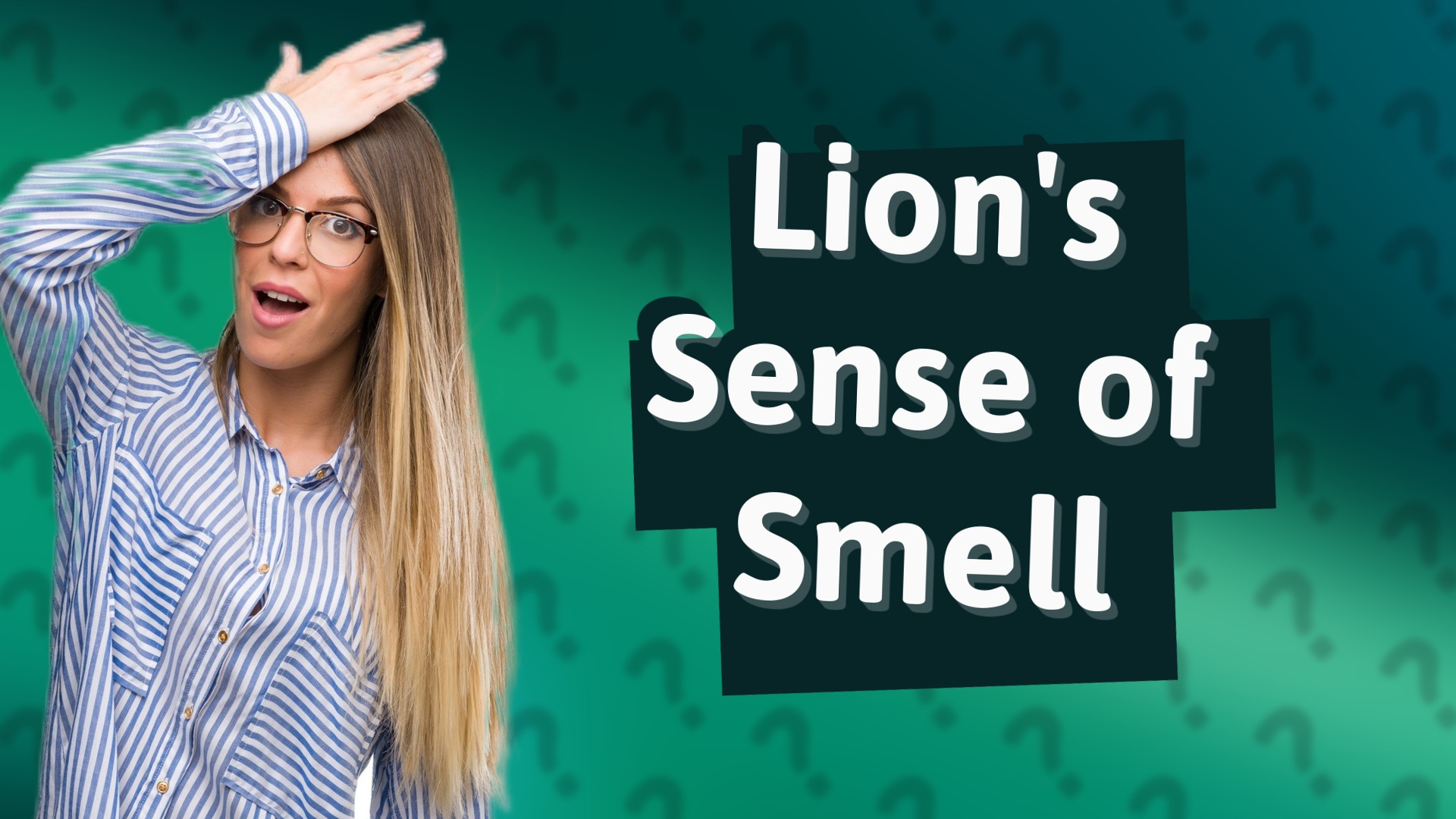 Lion's Sense of Smell