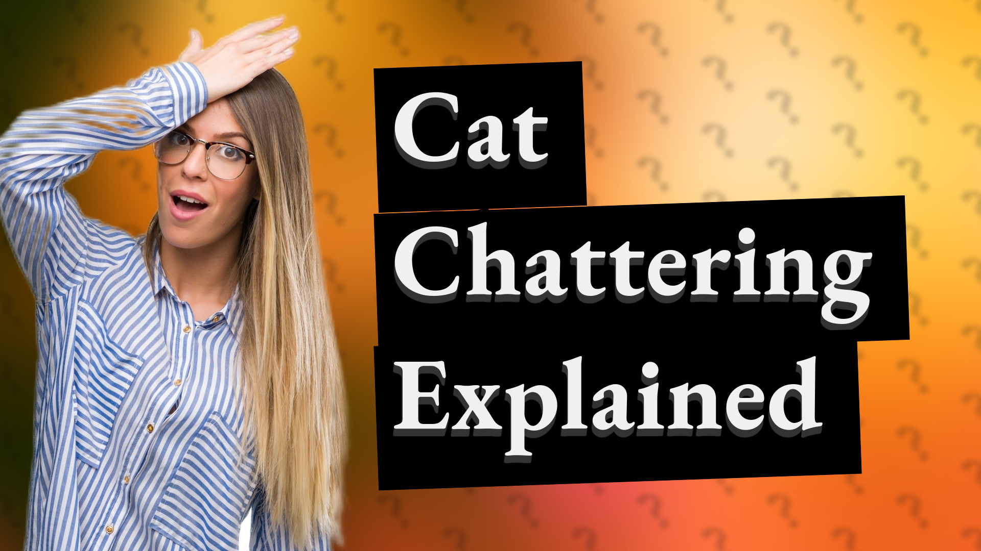 Cat Chattering Explained
