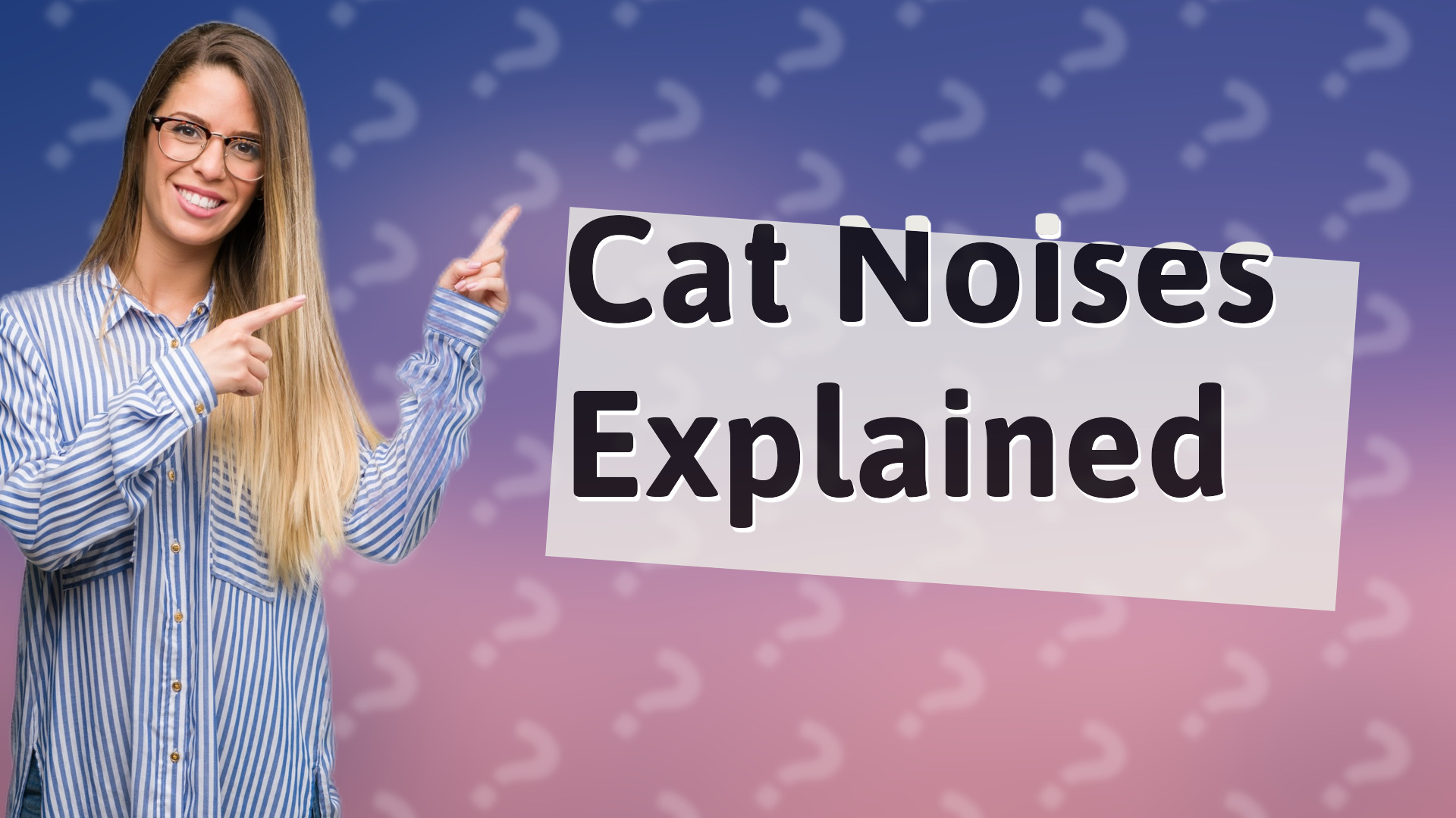 Cat Noises Explained