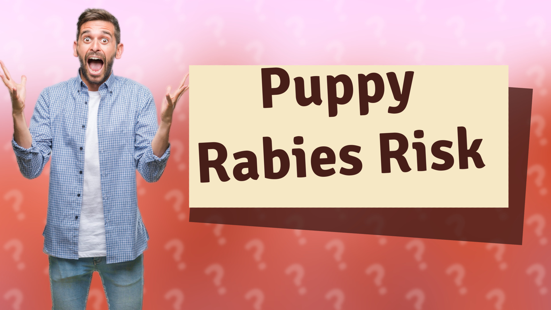 Puppy Rabies Risk