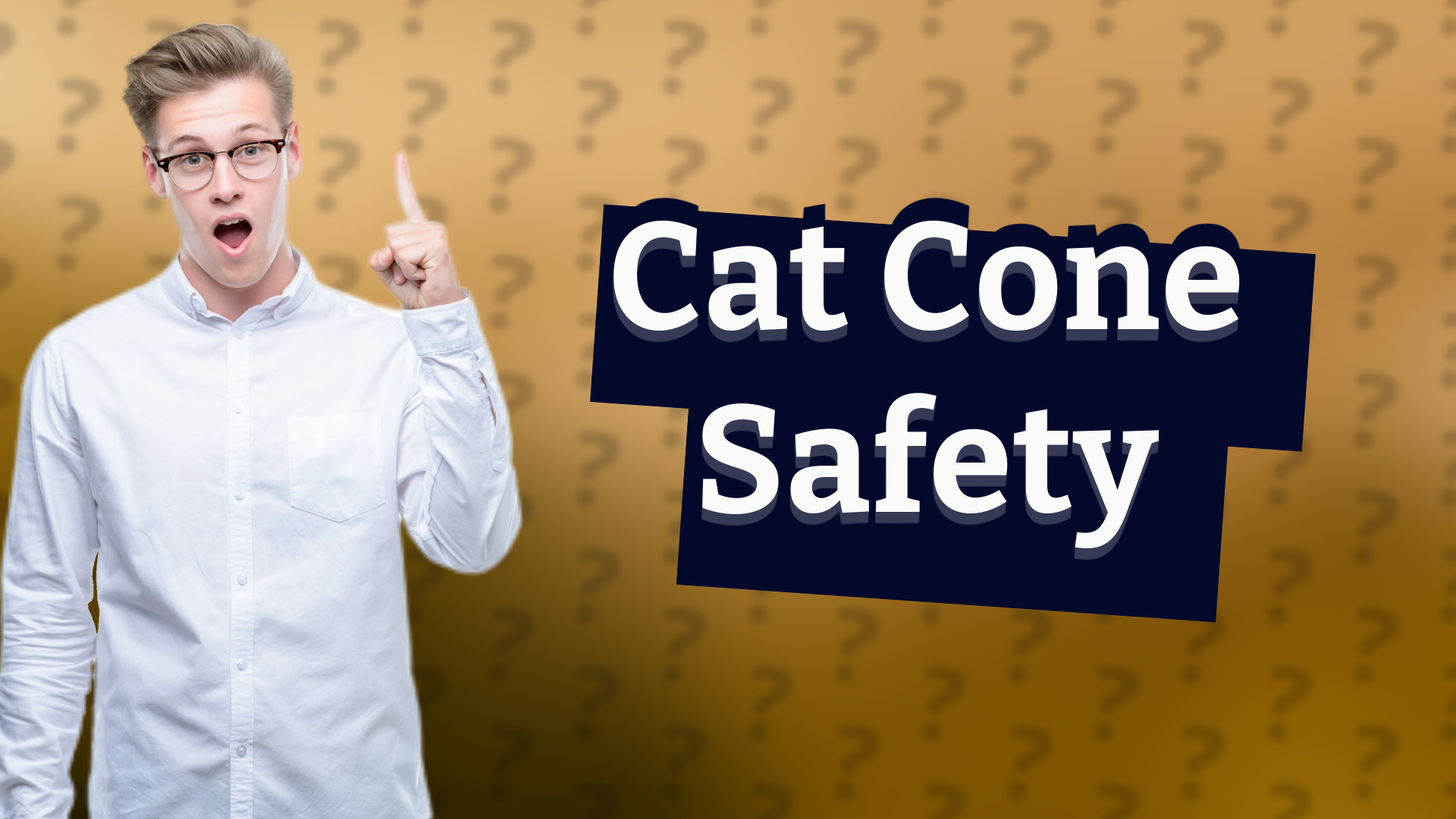 Cat Cone Safety