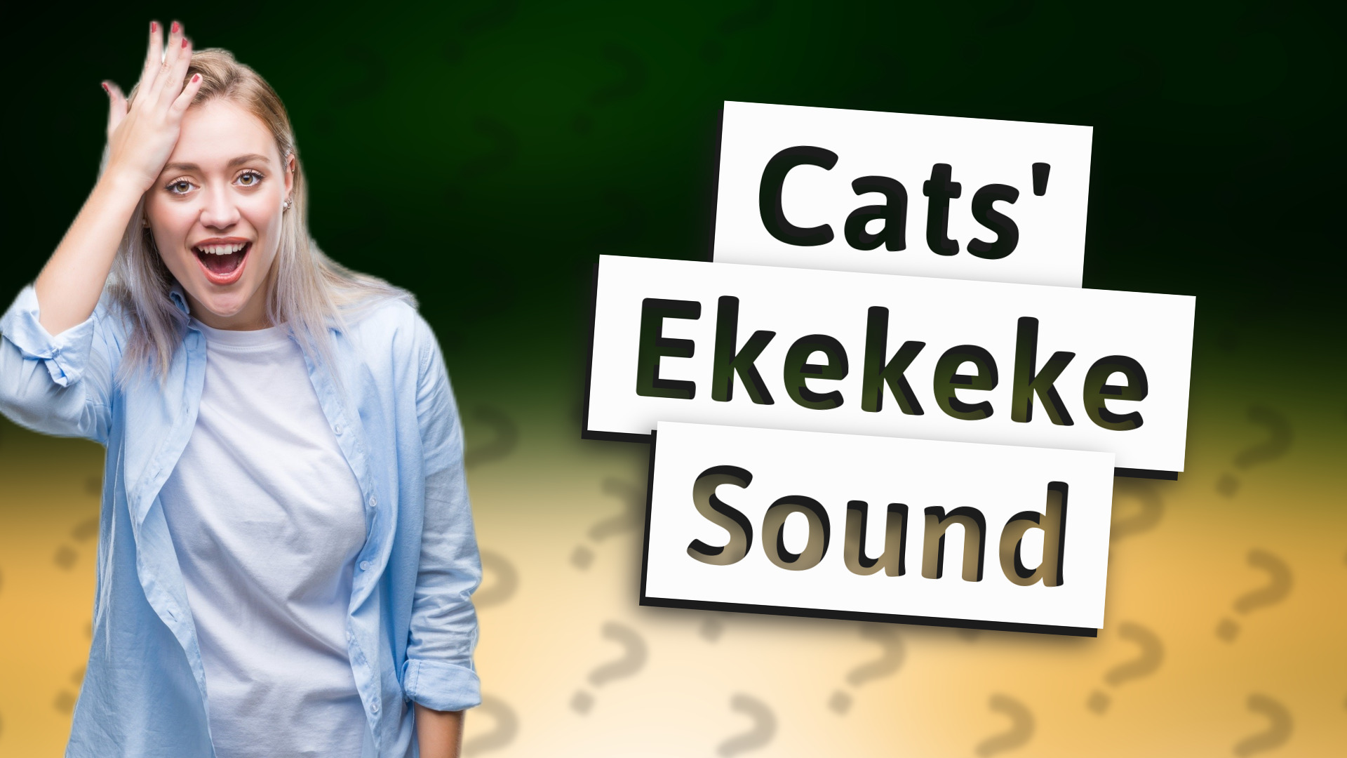 Cats' Ekekeke Sound